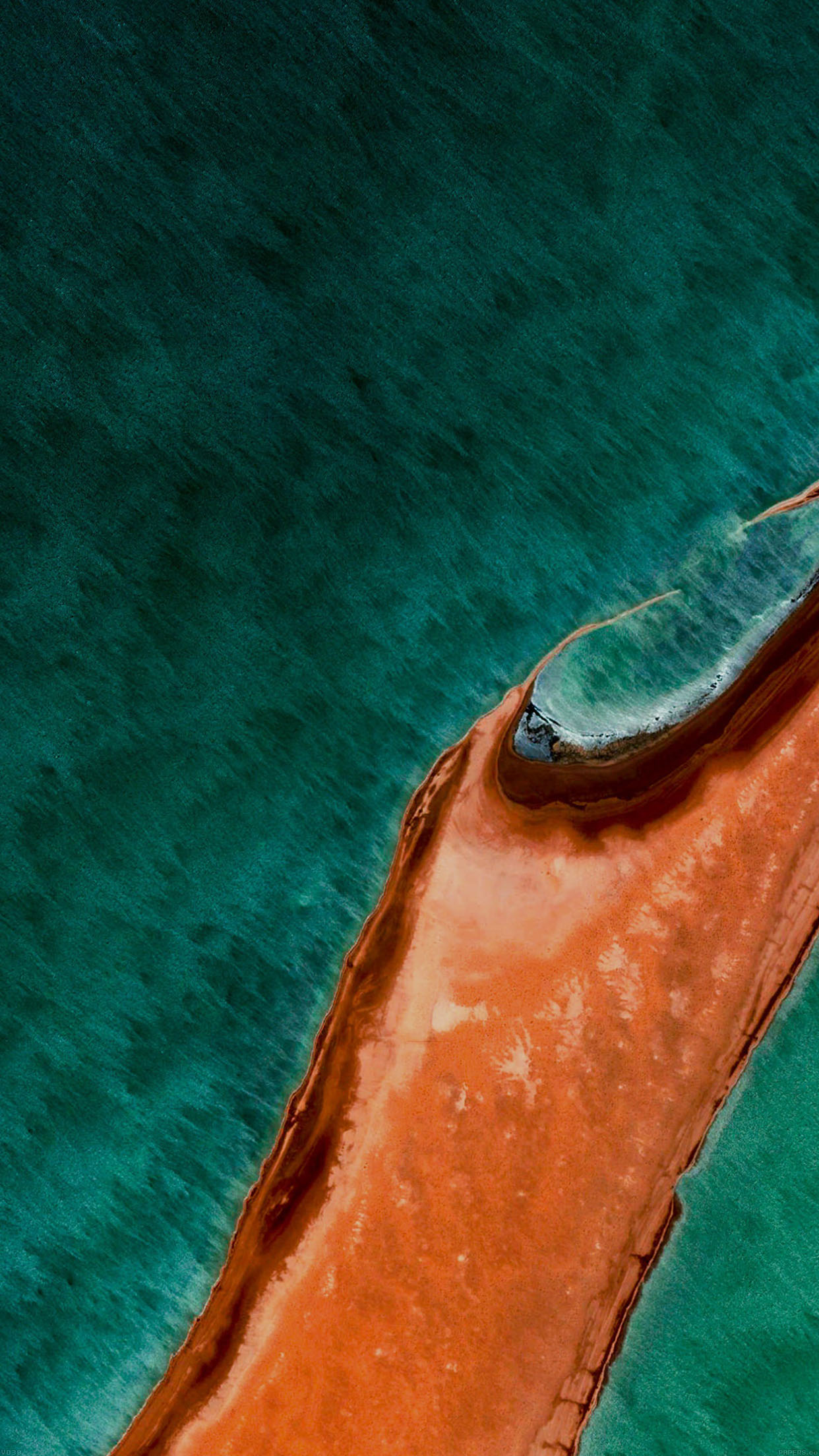 Android Lollipop - HD Wallpaper 