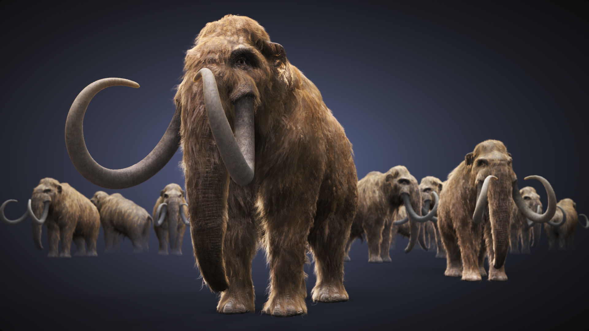 Cmivfx Blender Organic Modeling Techniques Wallpaper - Woolly Mammoth 3d Model - HD Wallpaper 