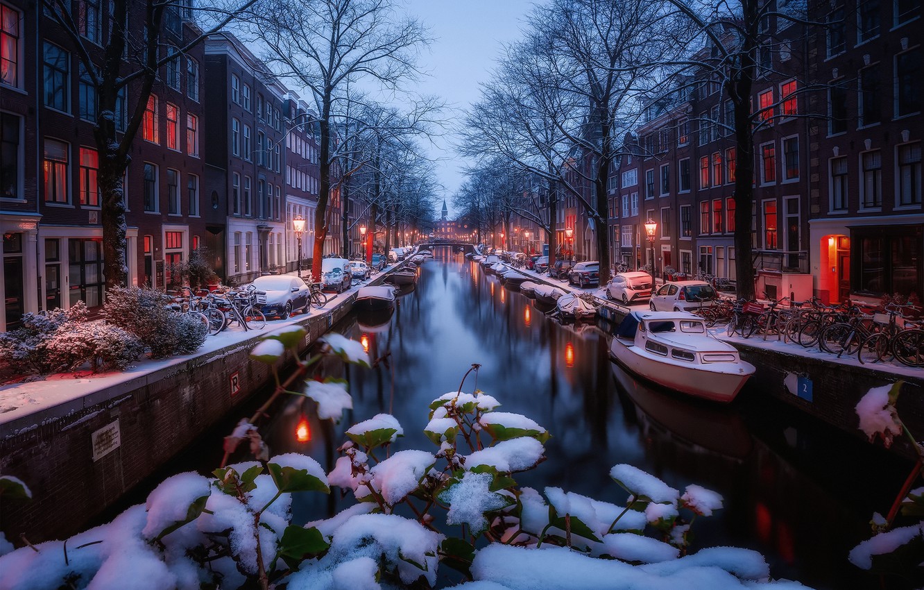 Photo Wallpaper Winter, Light, Snow, Lights, Morning, - Amsterdam Winter - HD Wallpaper 