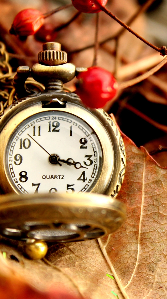 Beautiful Vintage Watch Iphone Wallpaper - Watch Wallpaper For Iphone - HD Wallpaper 
