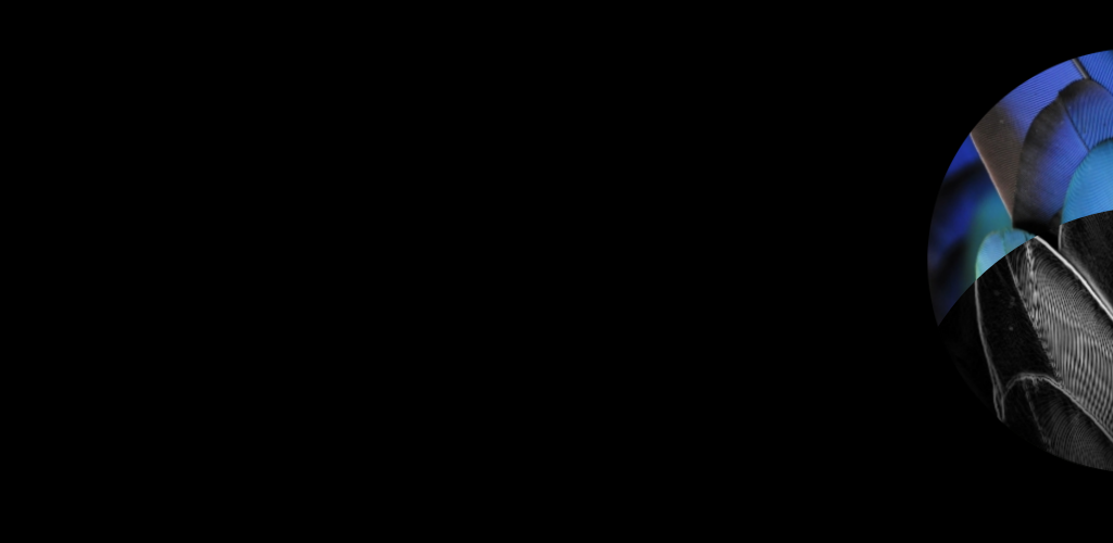 Darkness - HD Wallpaper 