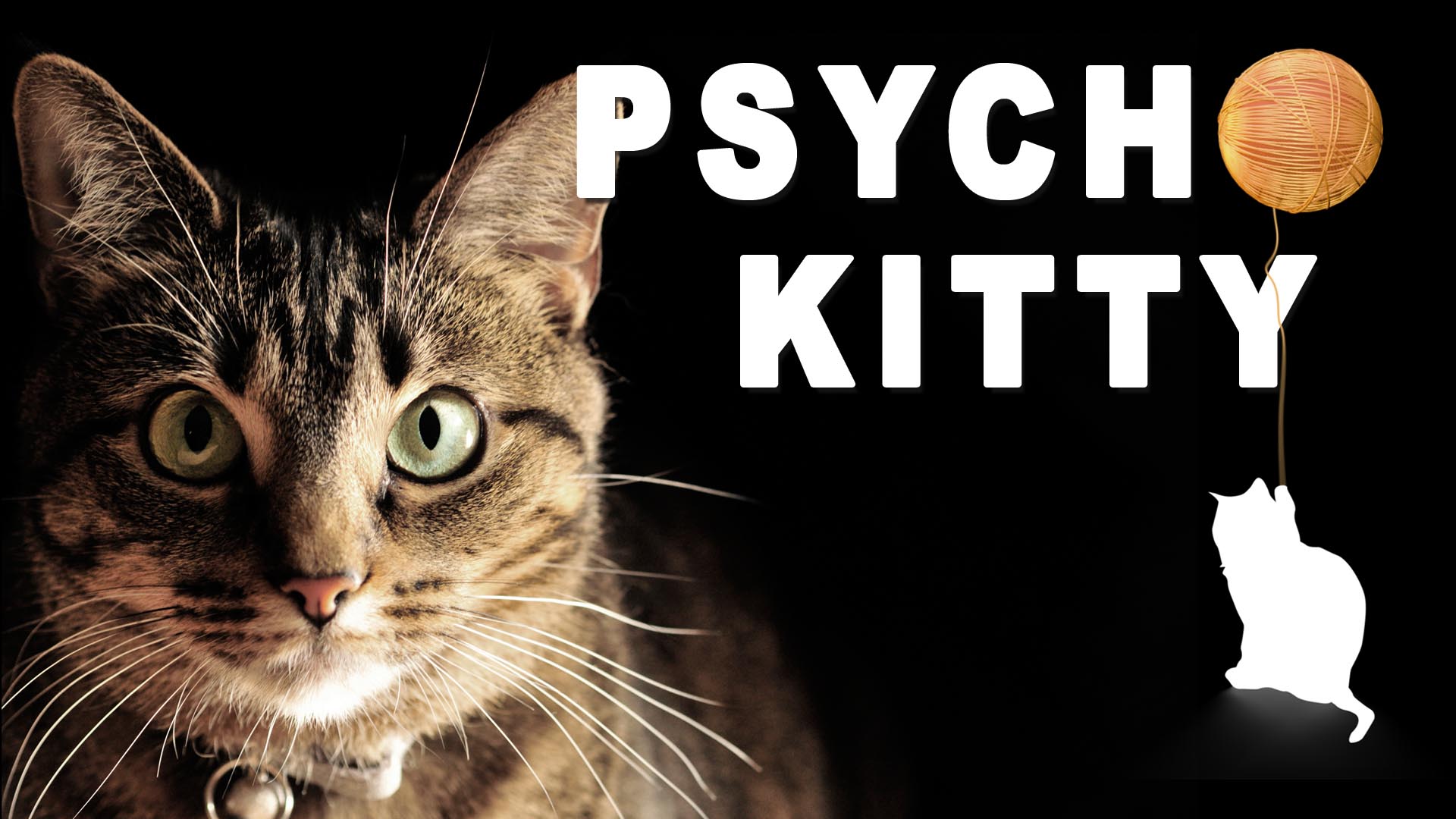 Psycho Cat - HD Wallpaper 