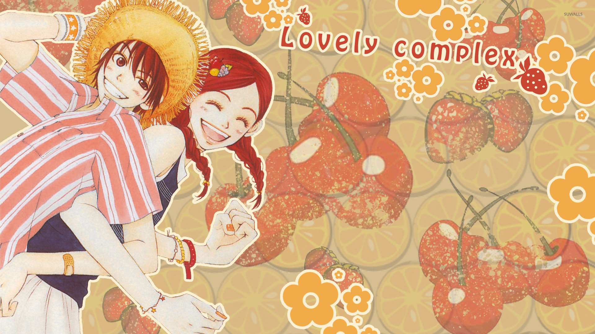 1920x1080, Monkey D - Lovely Complex - HD Wallpaper 