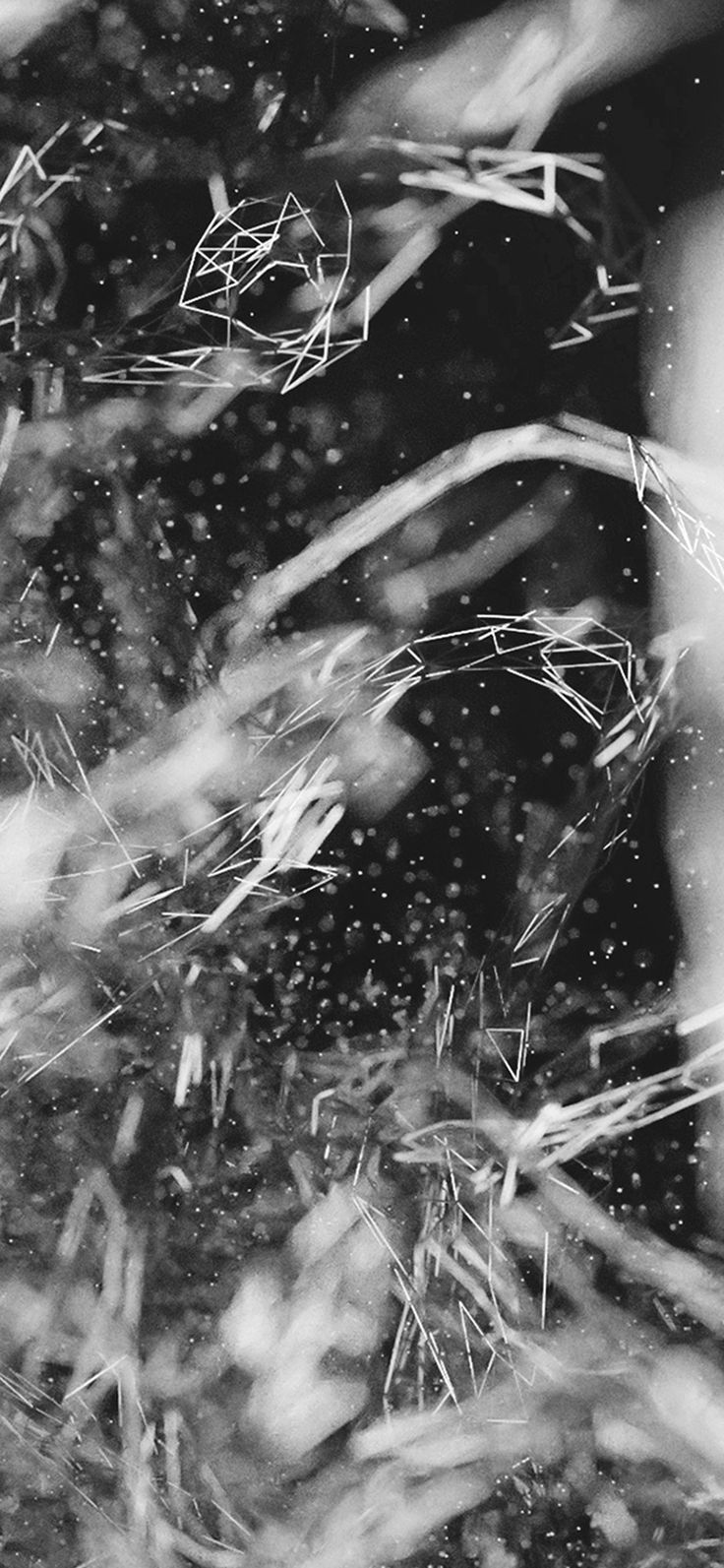 Iphone 6 - HD Wallpaper 