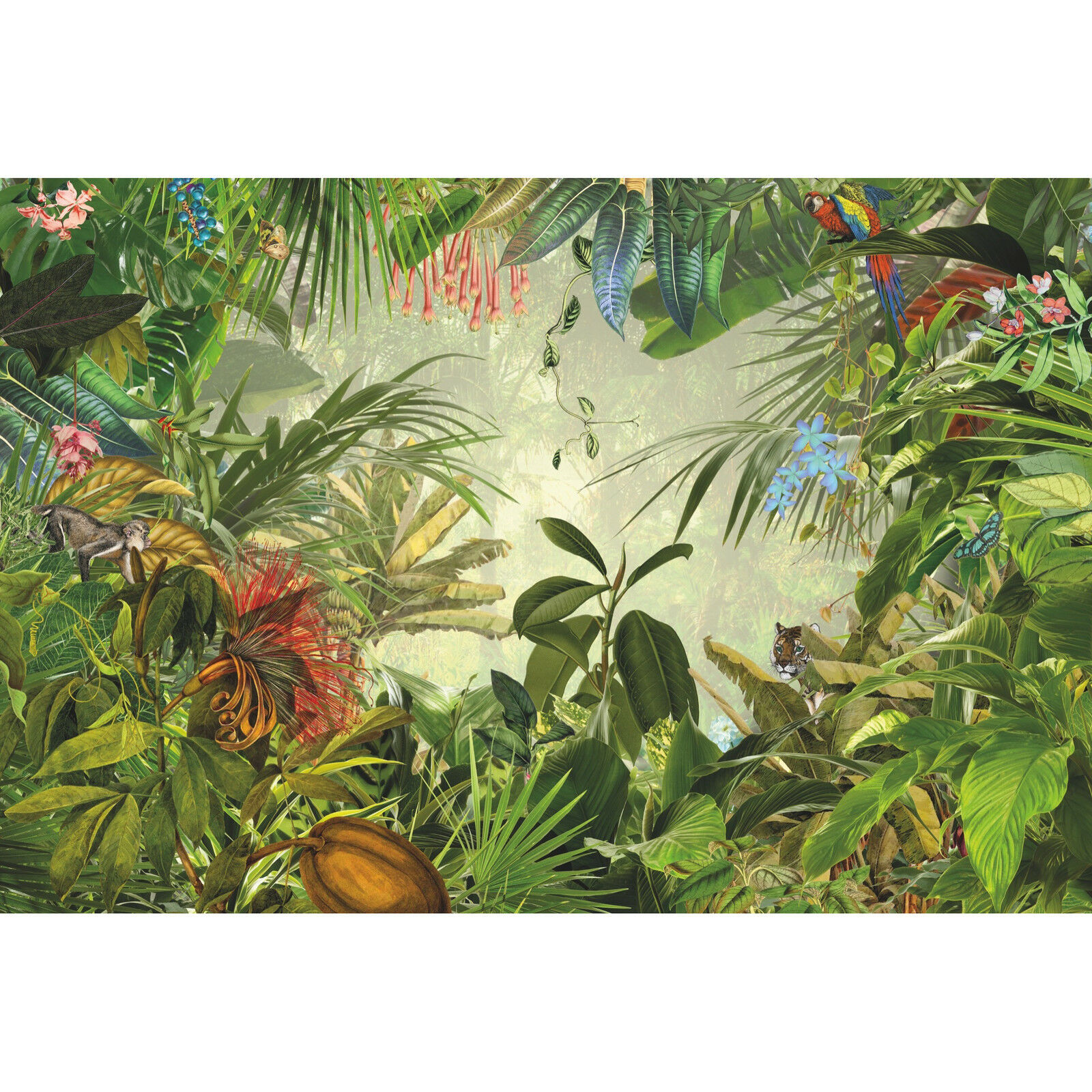 Rainforest Wall Mural - HD Wallpaper 