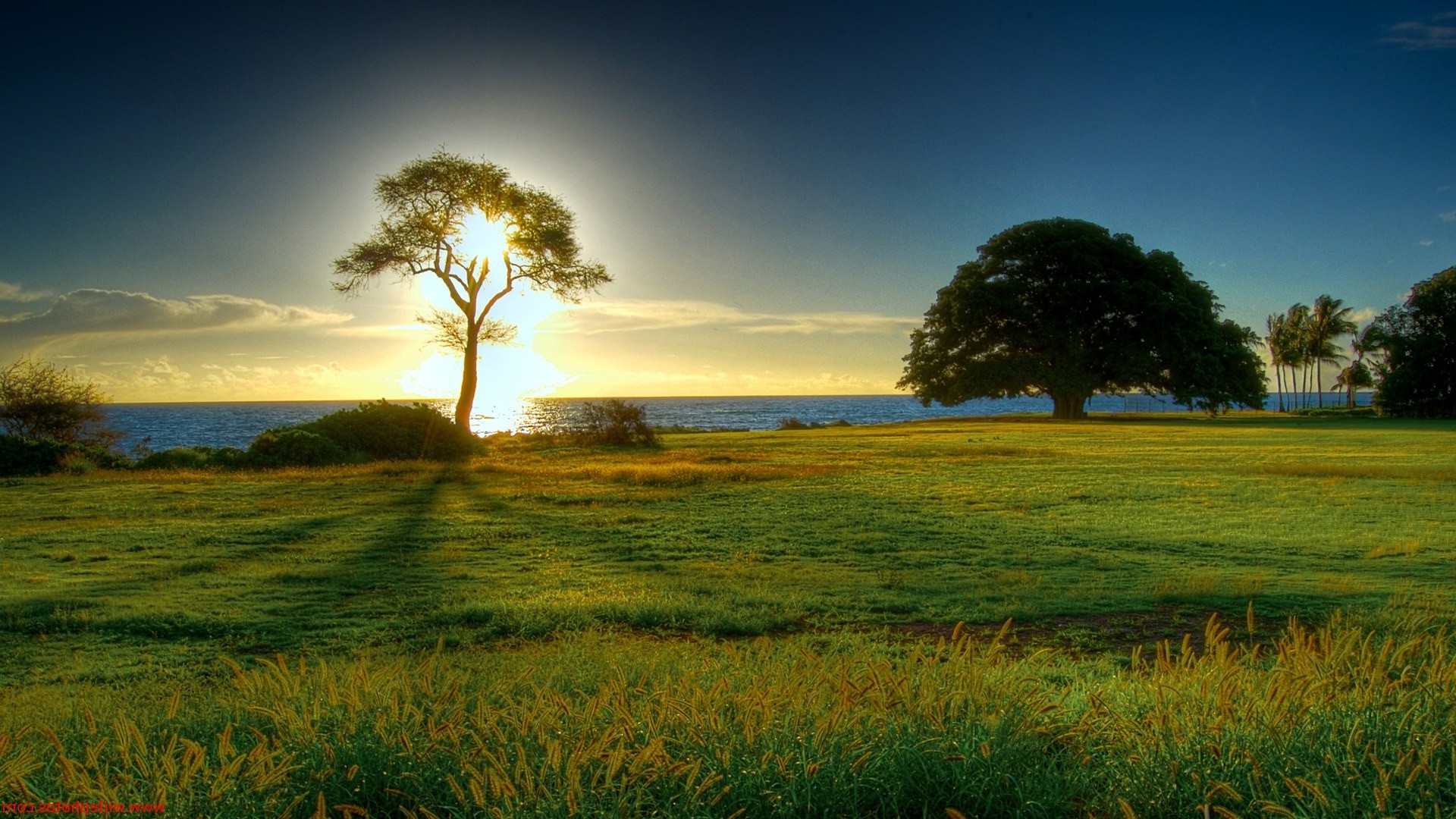 Adam And Eve In A Forest - HD Wallpaper 