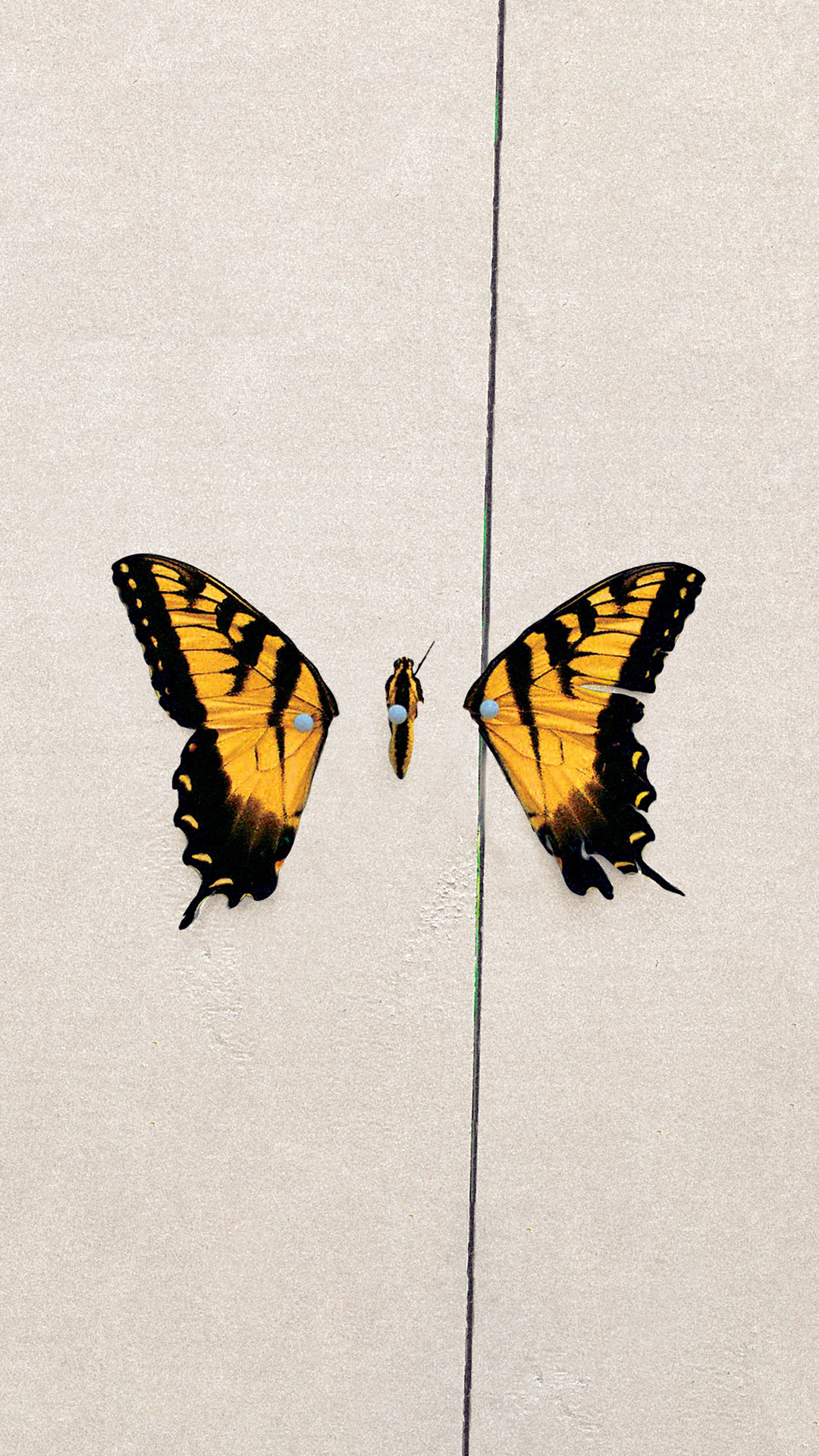 Paramore Brand New Eyes Iphone - HD Wallpaper 