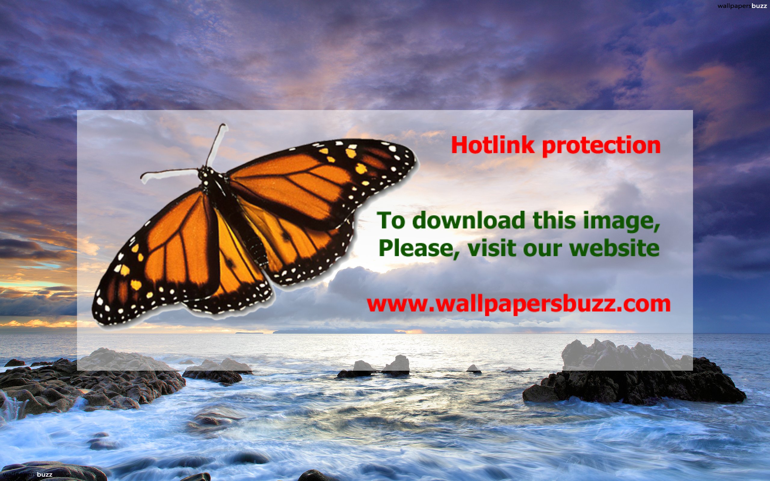 Beautiful Scenery Ocean - HD Wallpaper 