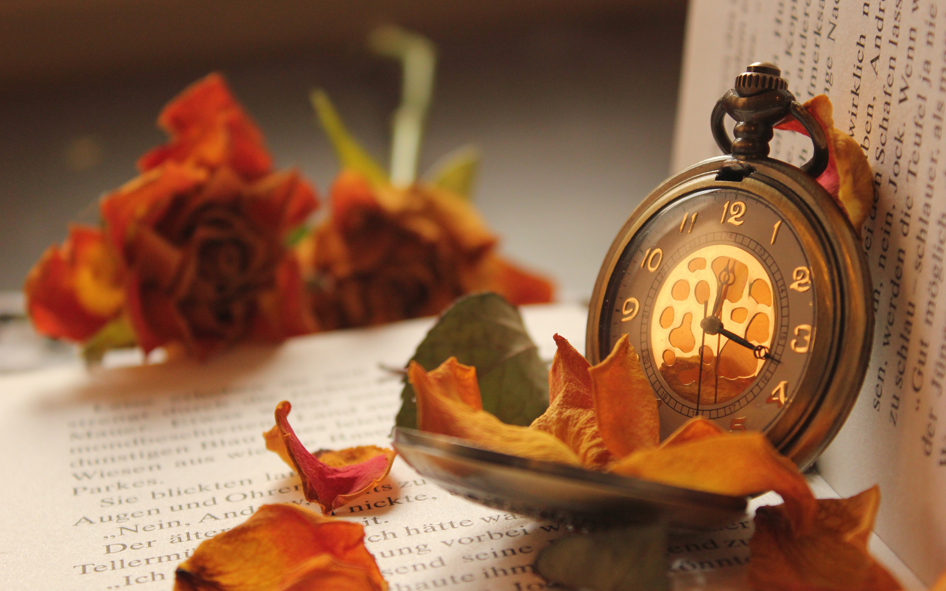 Flowers, Watch, Pocket, Rose, Petals, Book - Autumn And Books Time - HD Wallpaper 