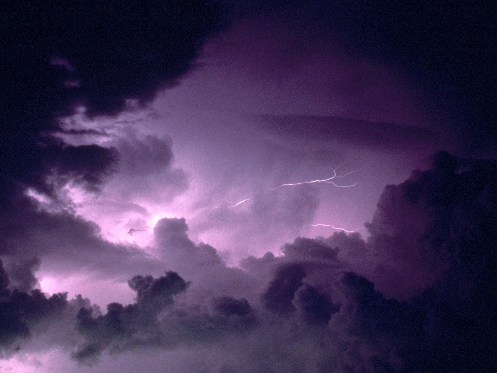 Wallpaper - HD Wallpaper 