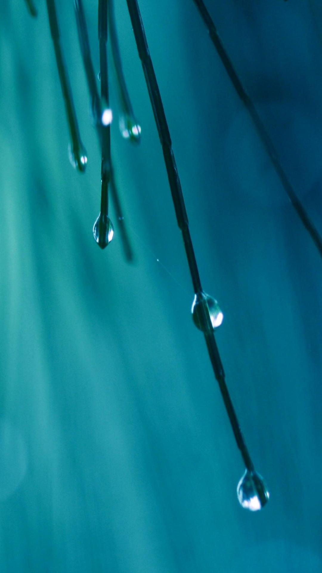 Samsung Hd Wallpaper Free Download - HD Wallpaper 