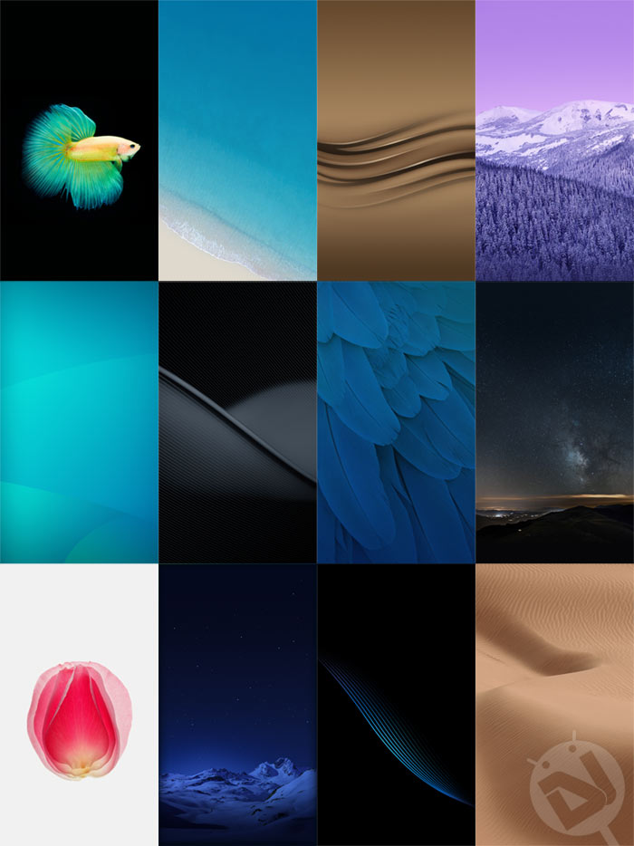 Vivo Xplay 6 - HD Wallpaper 