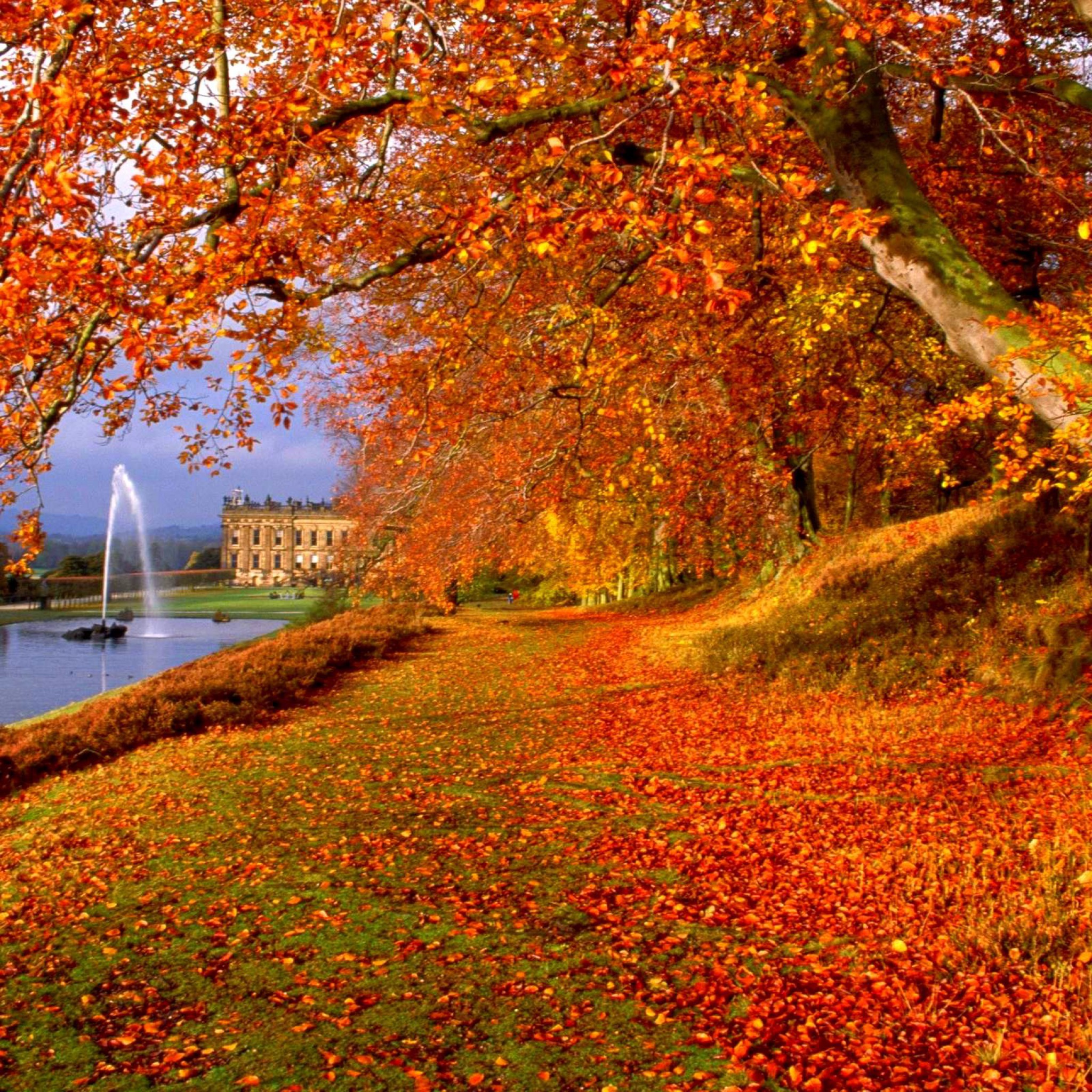 Full Hd Wallpapers For Tablets Free Download 
 Data-src - Autumn Season In France - HD Wallpaper 