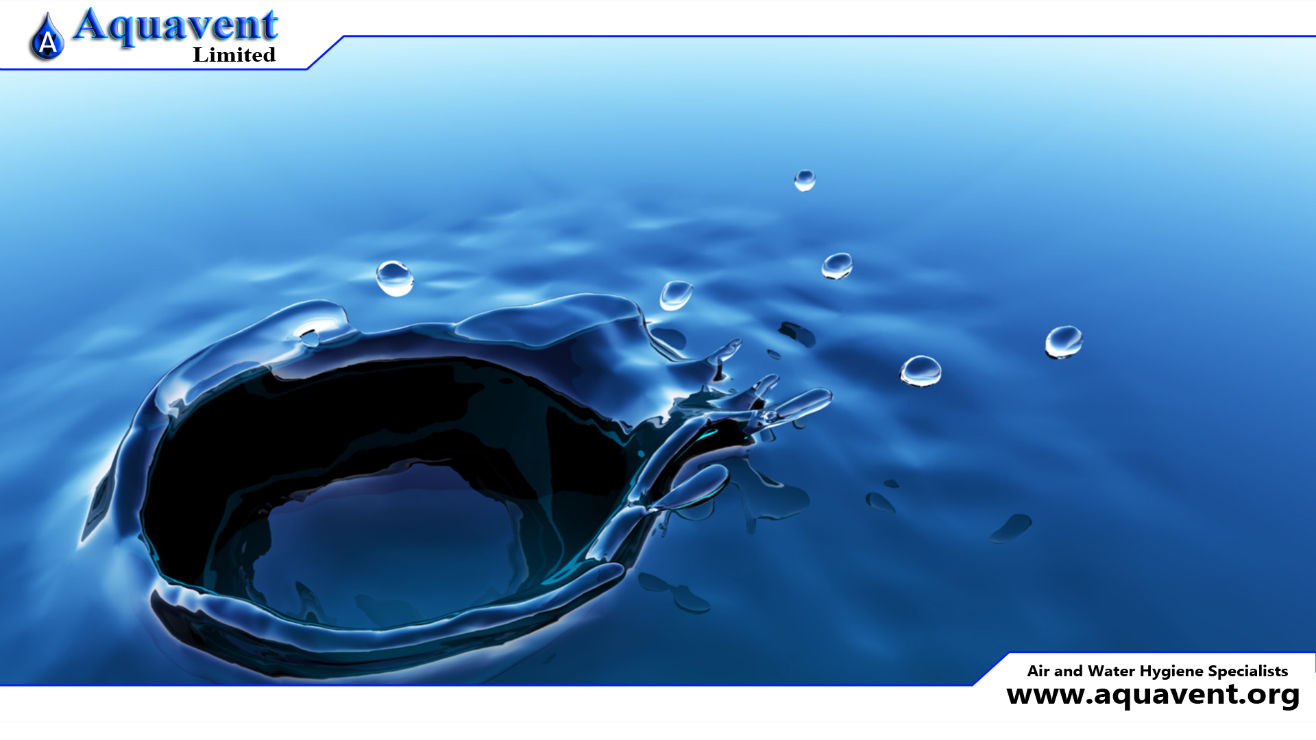 Video Wallpaper Download - 1920x1080 Wallpaper Video Wallpaper Download - 1920x1080 Wallpaper