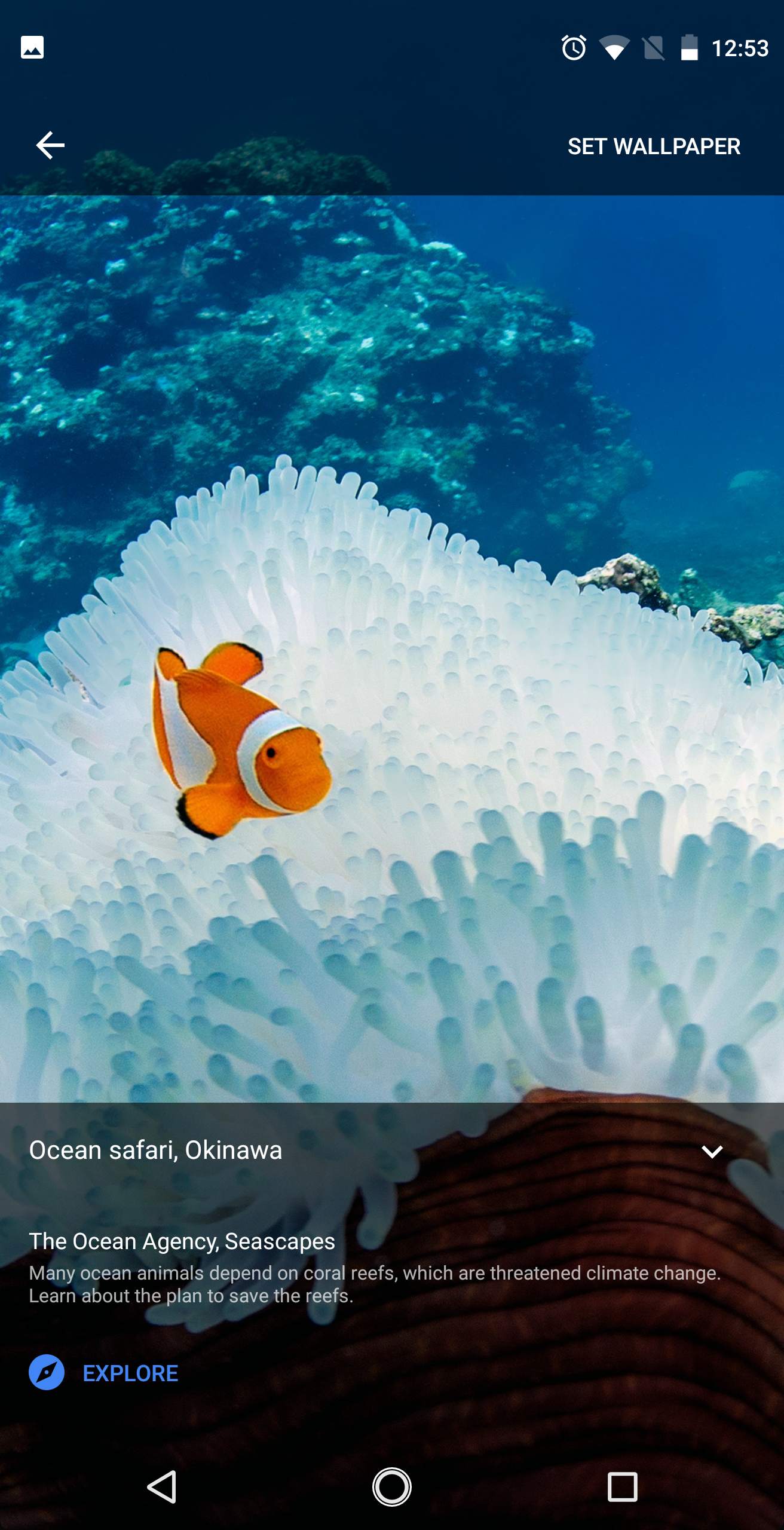 Google Seascapes - HD Wallpaper 