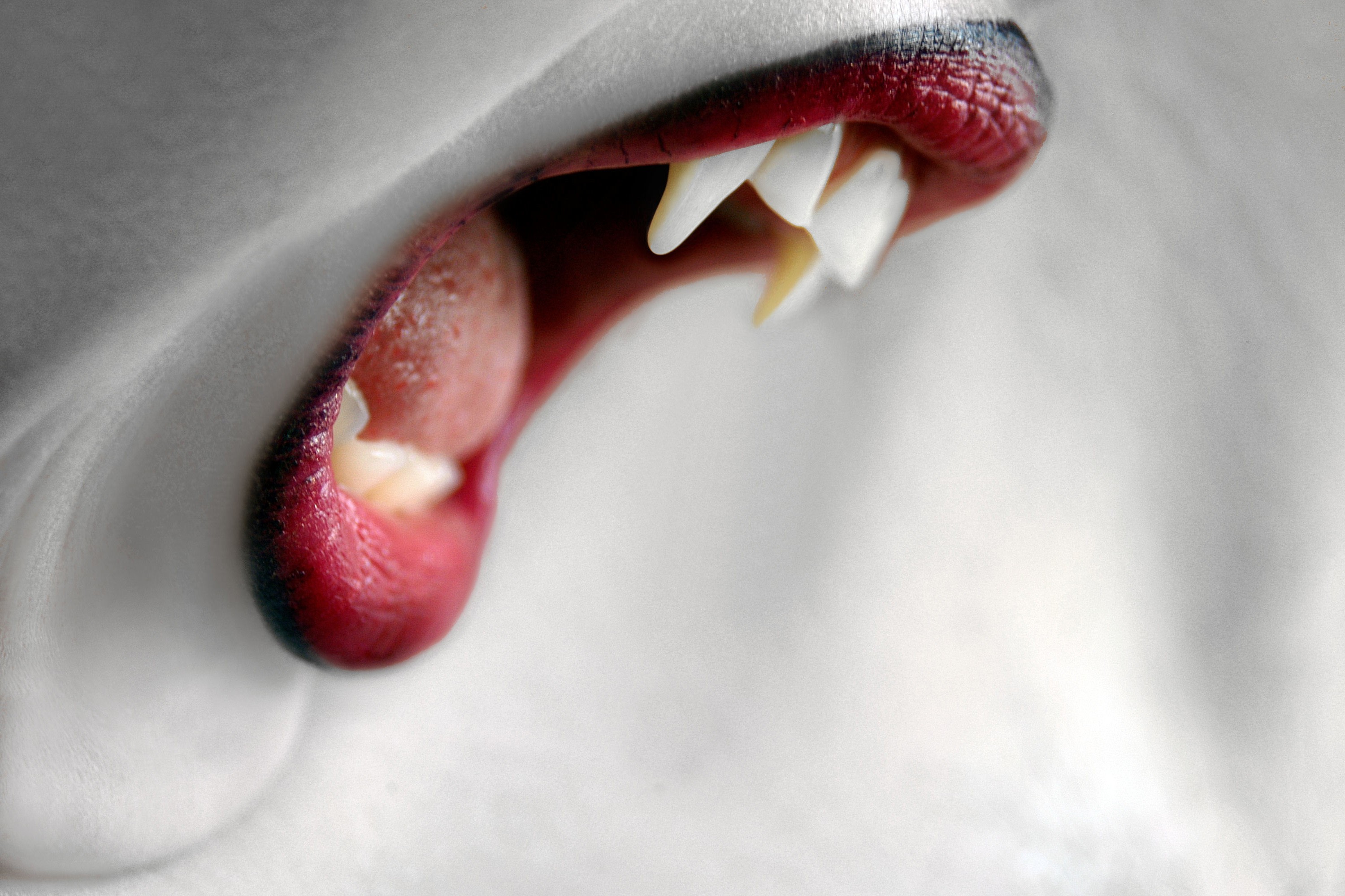 Vampire Wallpapers For Android - Vampire Teeth Side View - HD Wallpaper 