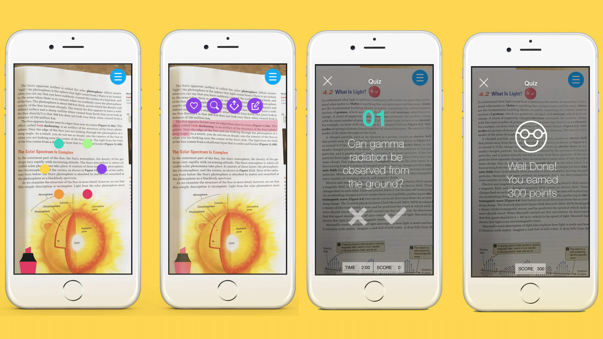 Kiwi - Iphone - HD Wallpaper 