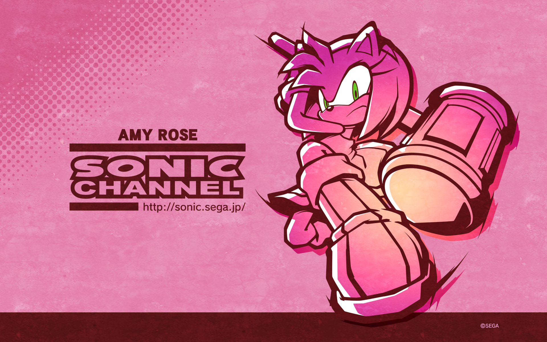 Amy Rose Sonic Channel - HD Wallpaper 