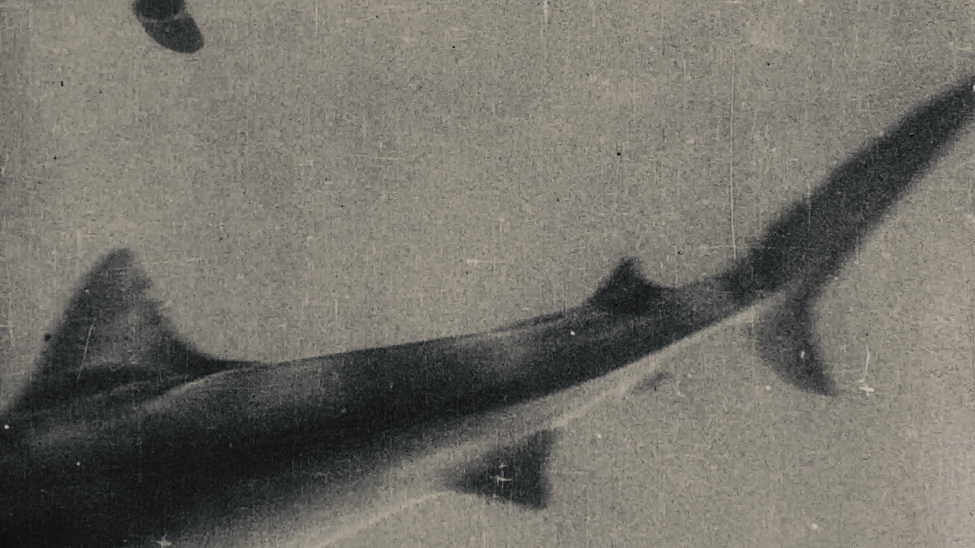 First Underwater Film 1914 - HD Wallpaper 