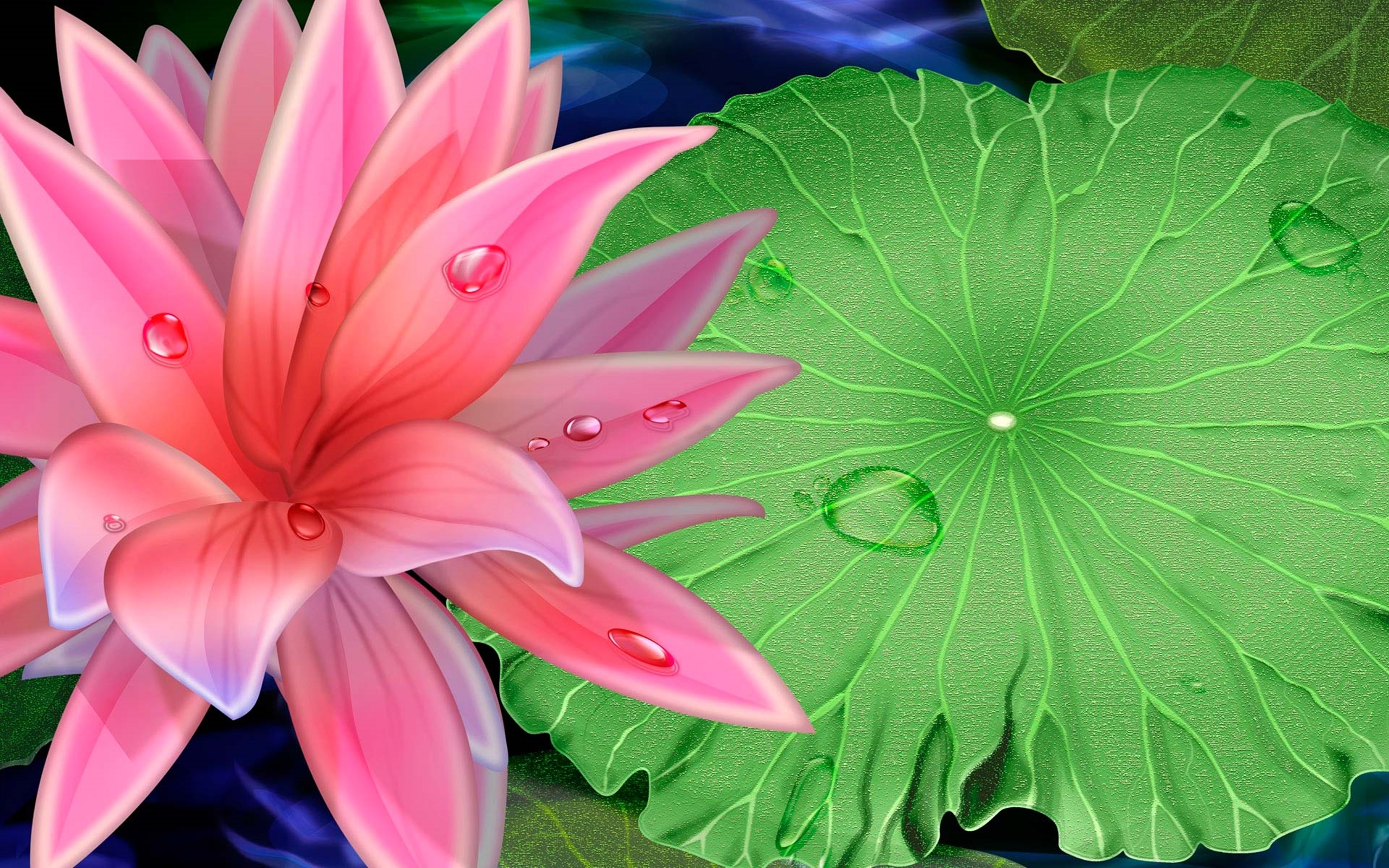 Best Flower Lotus - HD Wallpaper 