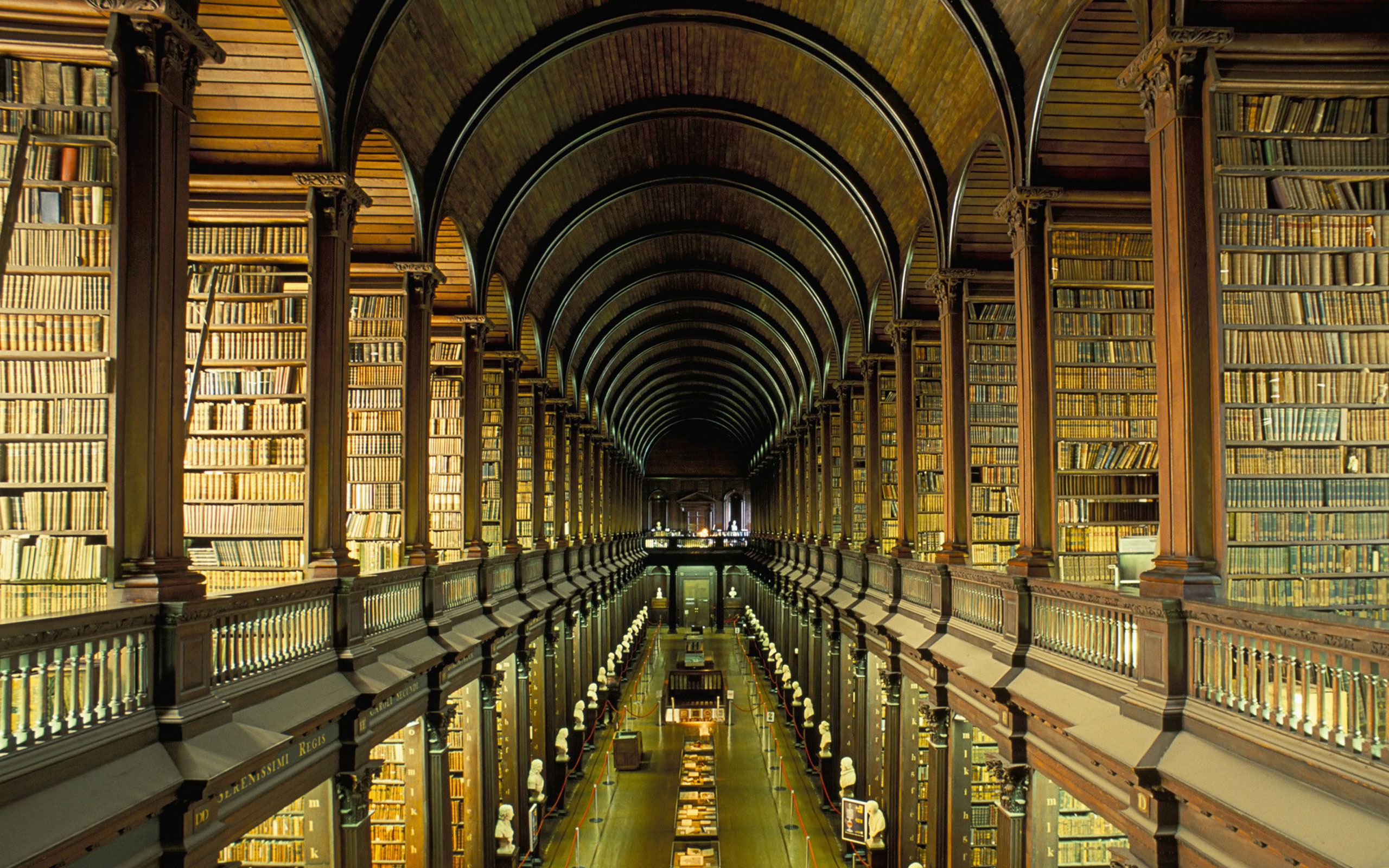 Intelligent Books To Read - Hd Wallpapers Library - HD Wallpaper 