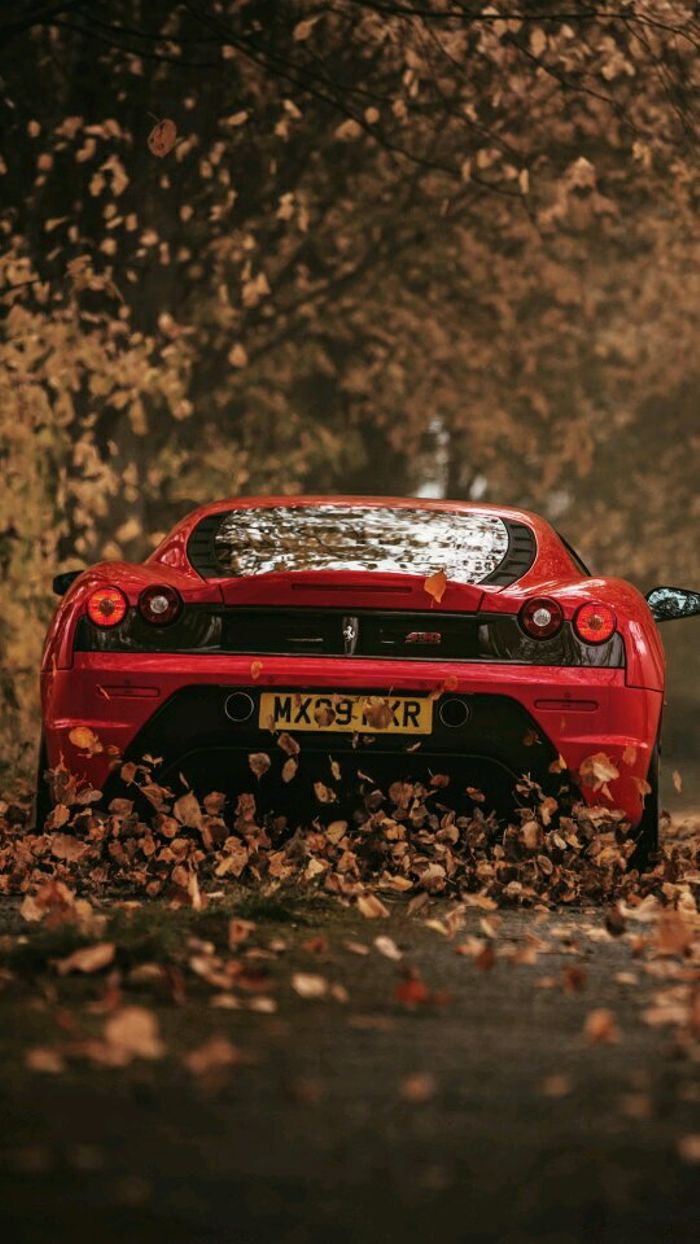 Ferrari F430 Wallpaper Iphone - HD Wallpaper 