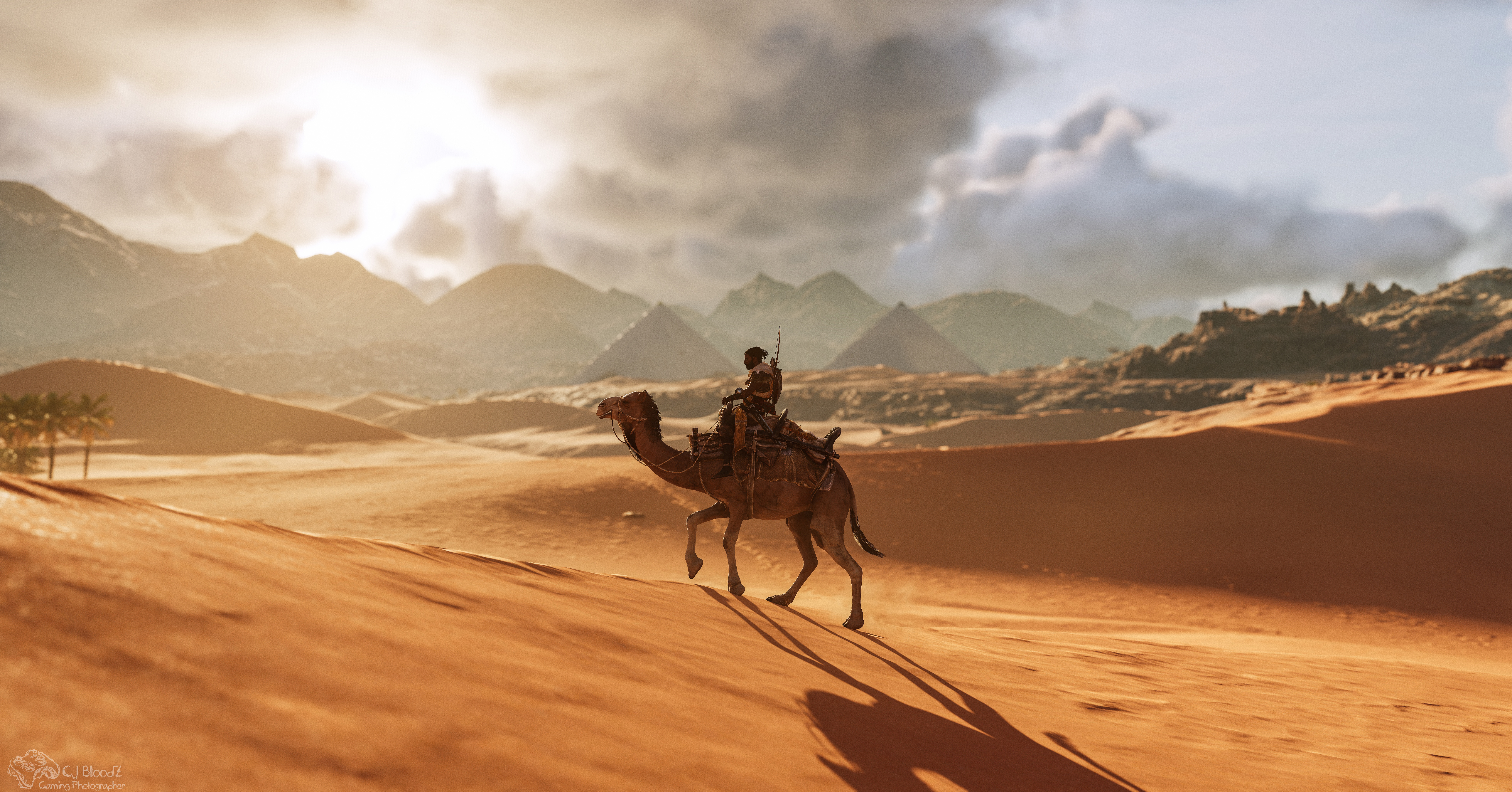 Assassin's Creed Origins Camel - HD Wallpaper 