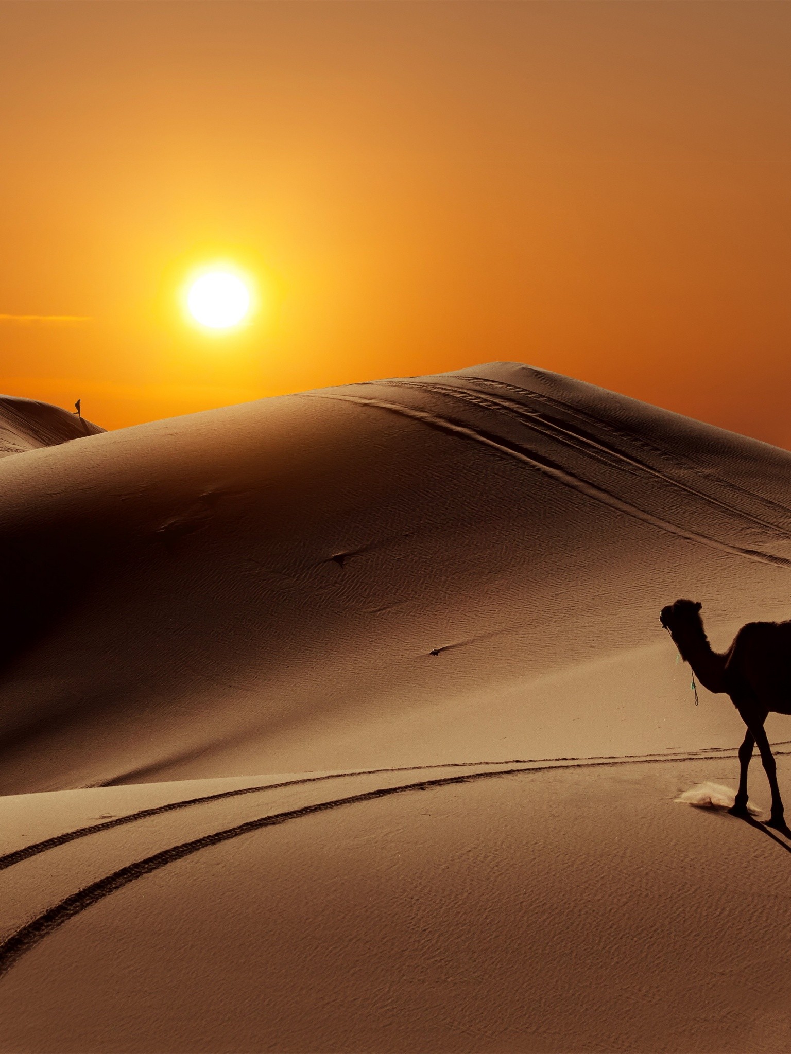 Sun People Desert Camel Wallpaper - Desert With Camel Hd - HD Wallpaper 