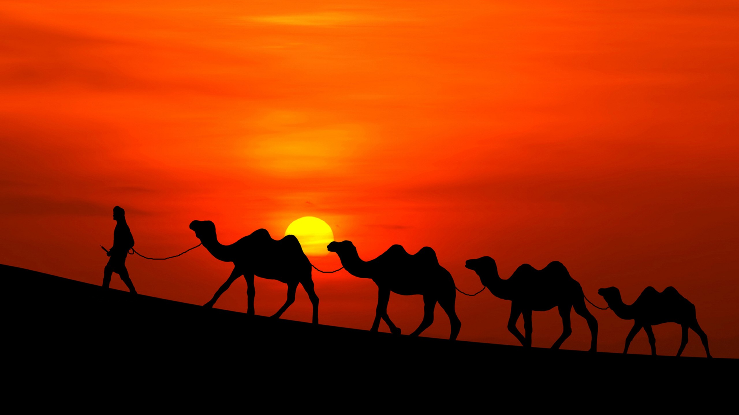 Desert Wallpaper Camel - HD Wallpaper 