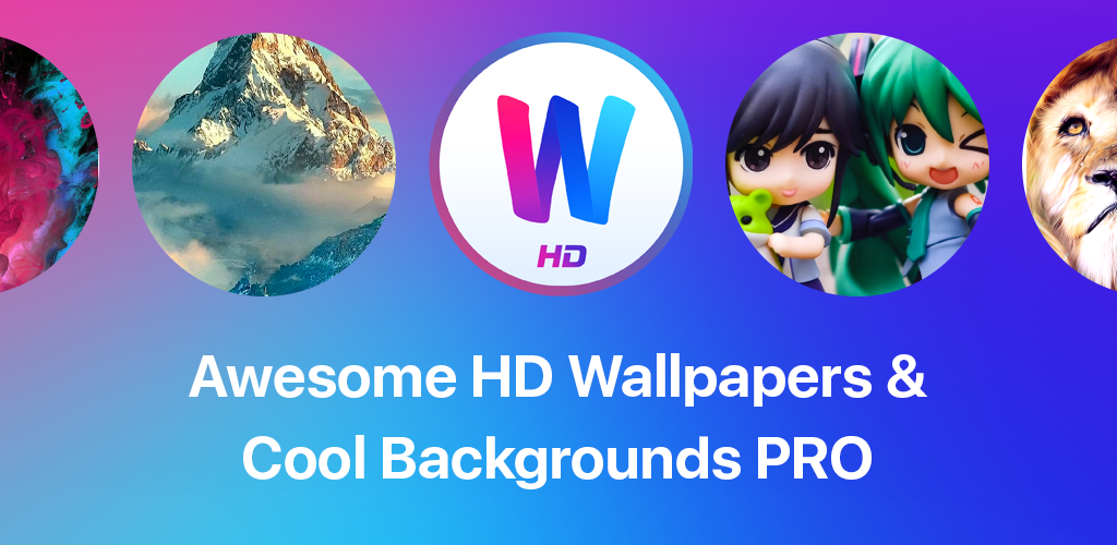 Cartoon - HD Wallpaper 