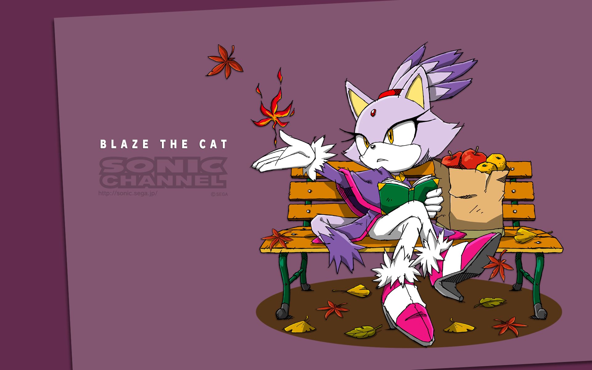 Sonic Channel Wallpaper Blaze - HD Wallpaper 