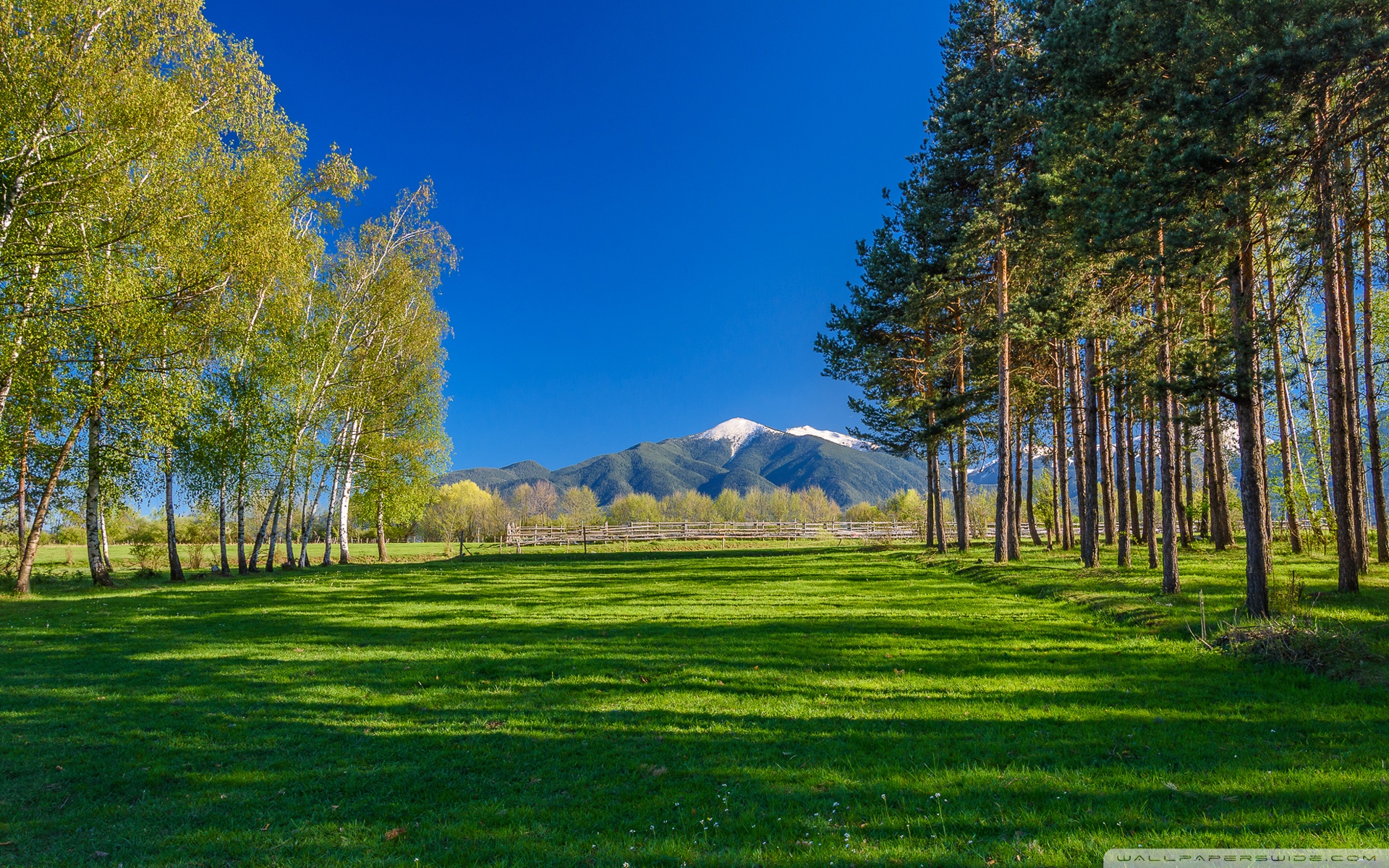 Sunny Day Wallpaper 4k - HD Wallpaper 