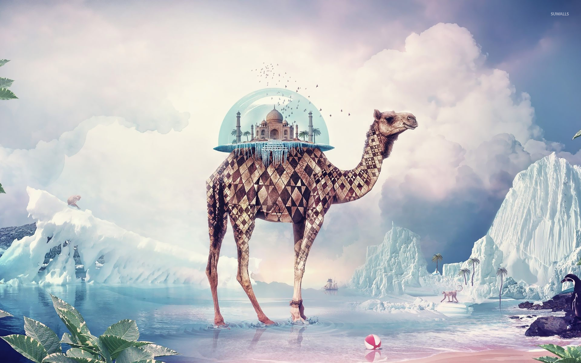 Camel Fantasy - HD Wallpaper 