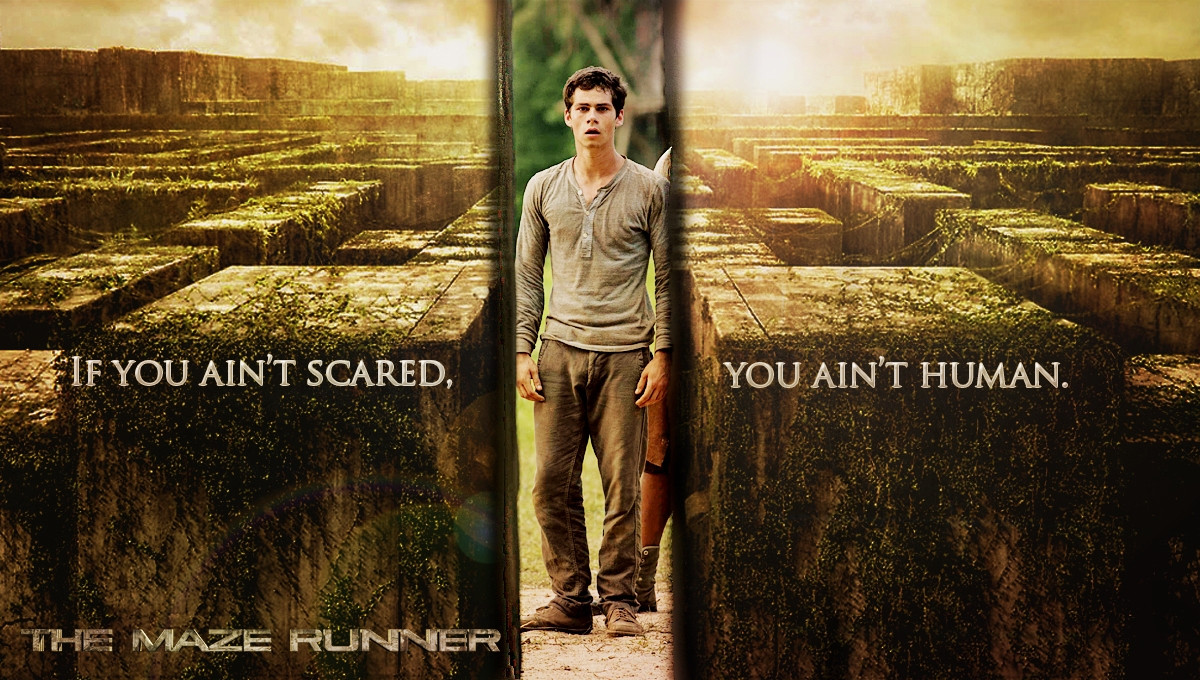 Laptop Maze Runner Hd Widescreen Pictures - Maze Runner Labyrinth - HD Wallpaper 