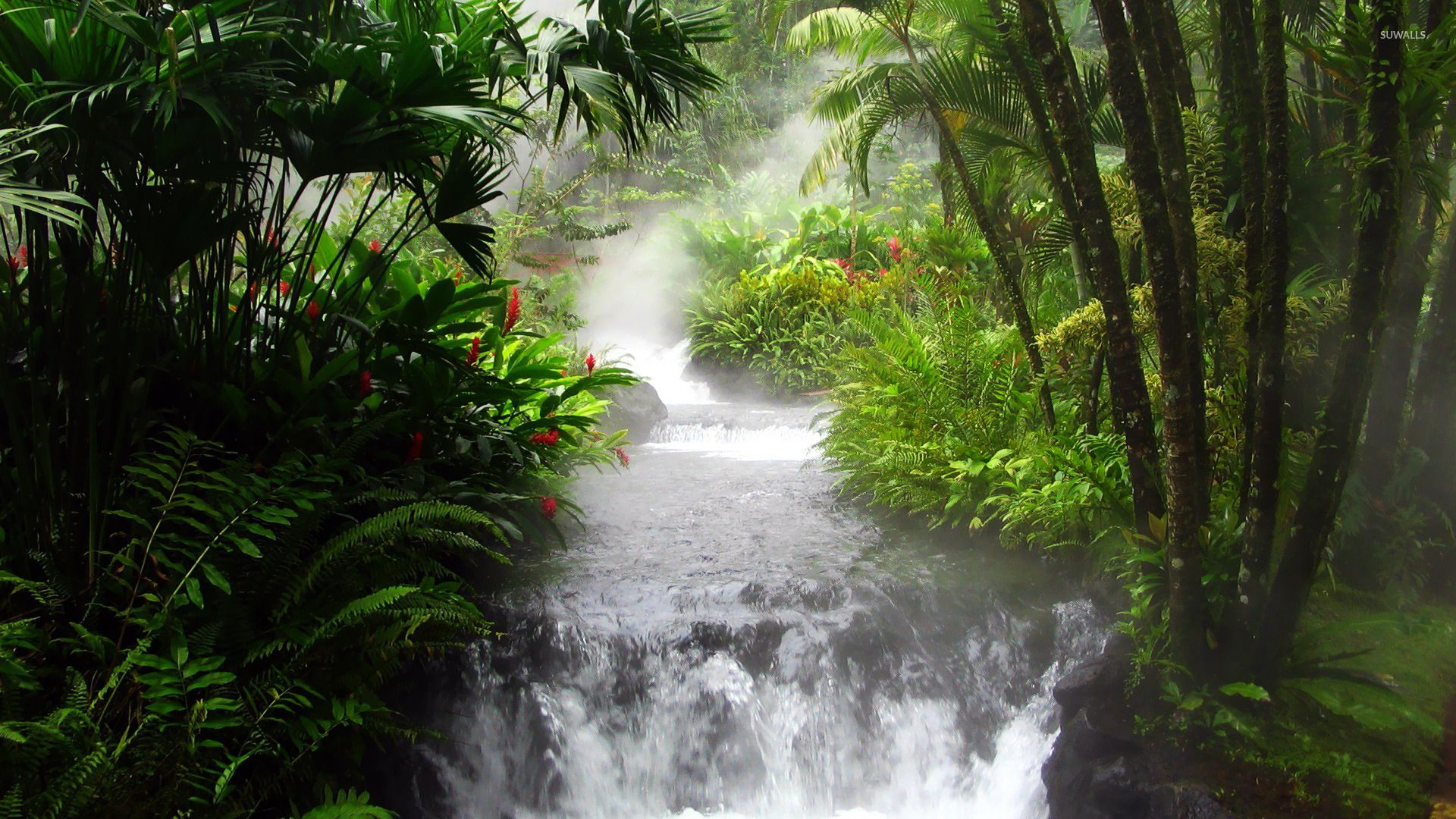 Jungle Waterfall Backgrounds - HD Wallpaper 