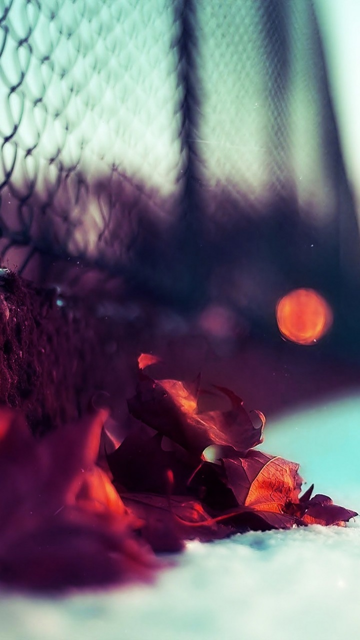 Htc Desire 820g Wallpaper №36 - Close Up Wallpaper Iphone - HD Wallpaper 