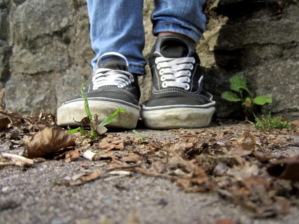 Black Vans Off The Wall Plimsoll Preview - Walking Shoe - HD Wallpaper 