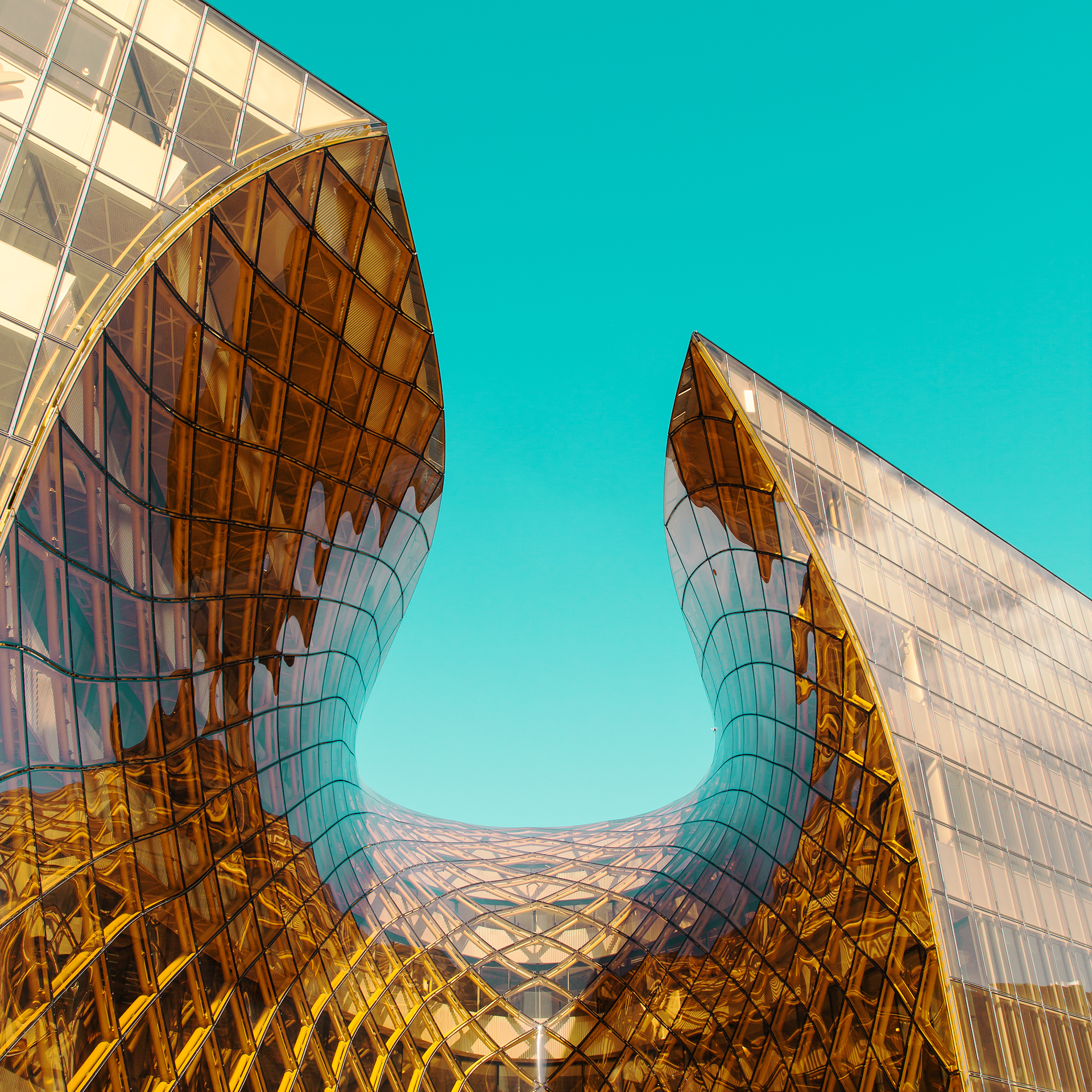 Oneplus X Wallpaper - HD Wallpaper 