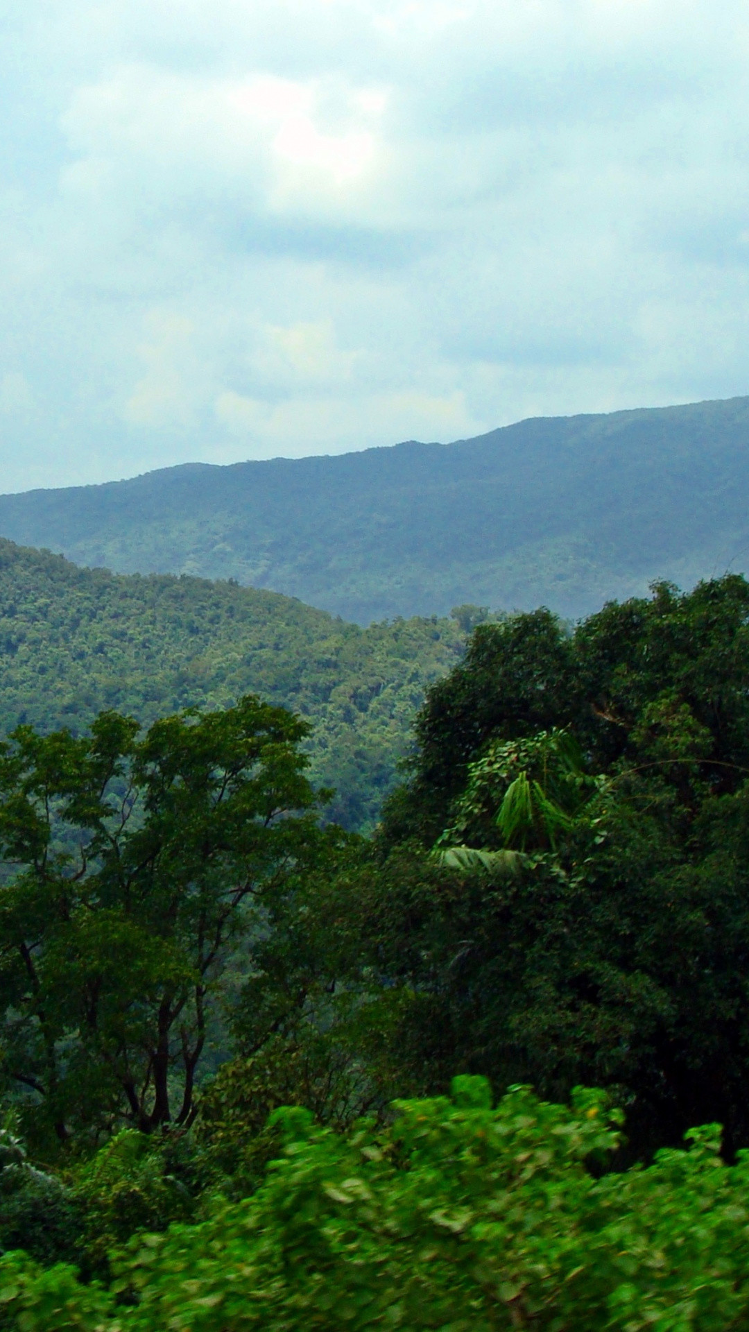 Vegetation, Forest, Highland, Mountainous Landforms, - Jamaica Wallpaper Iphone - HD Wallpaper 
