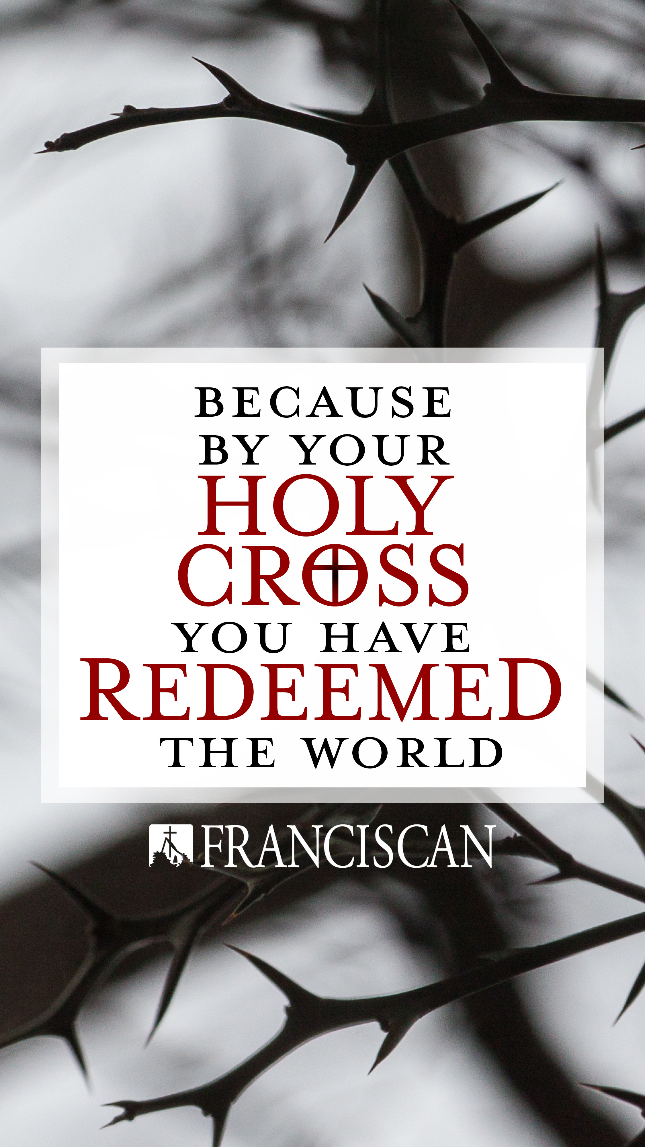 Becsuse By The Holy Cross You Have Redeemed The World - HD Wallpaper 