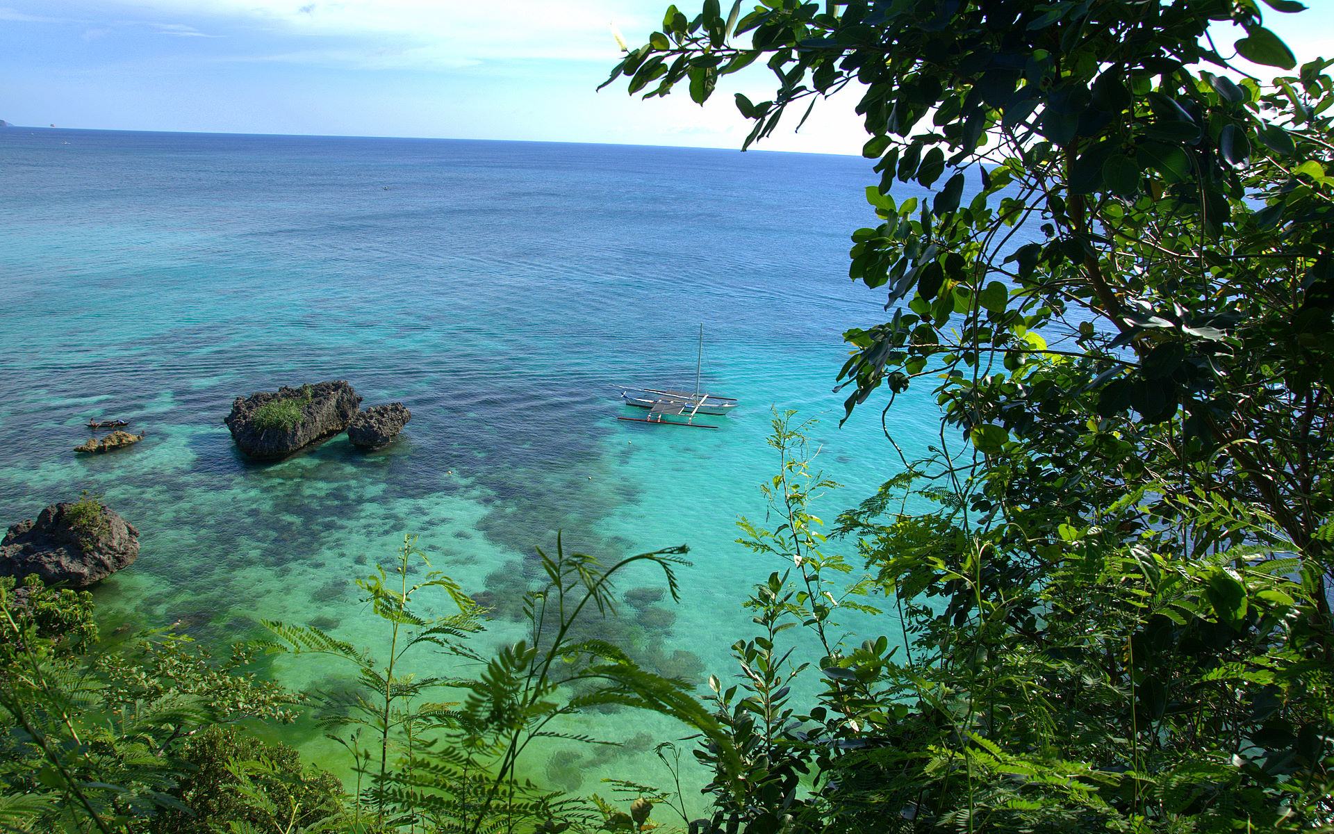 Tropical Selva Wallpaper Mac - HD Wallpaper 