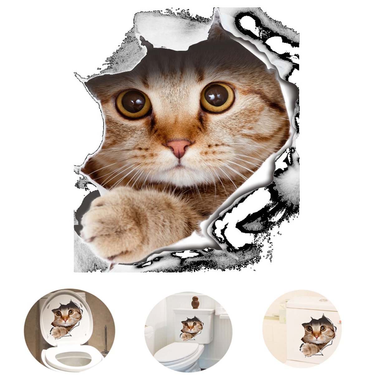 Cute Cat - HD Wallpaper 