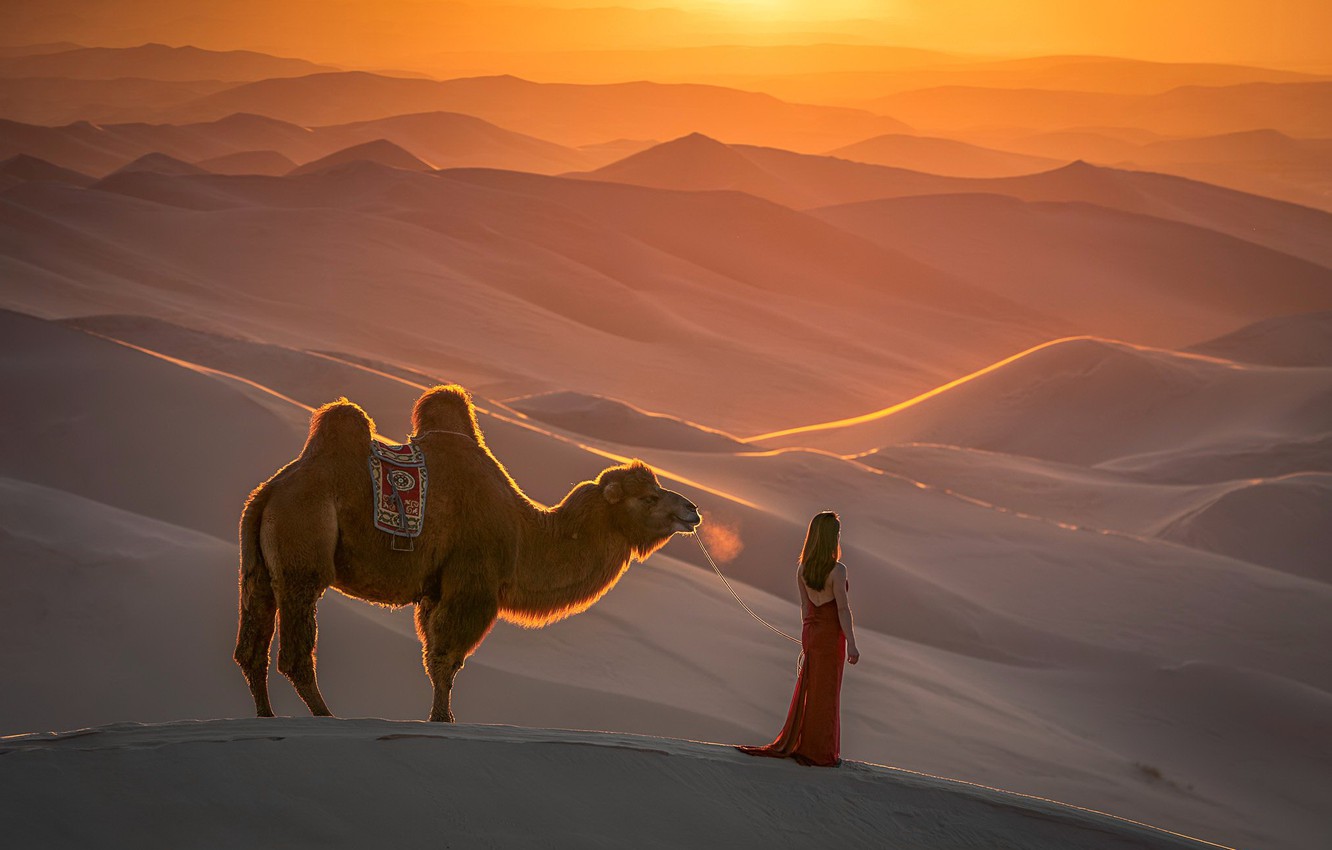 Photo Wallpaper Girl, Nature, Desert, Camel - Desert Girl Wallpaper Free - HD Wallpaper 