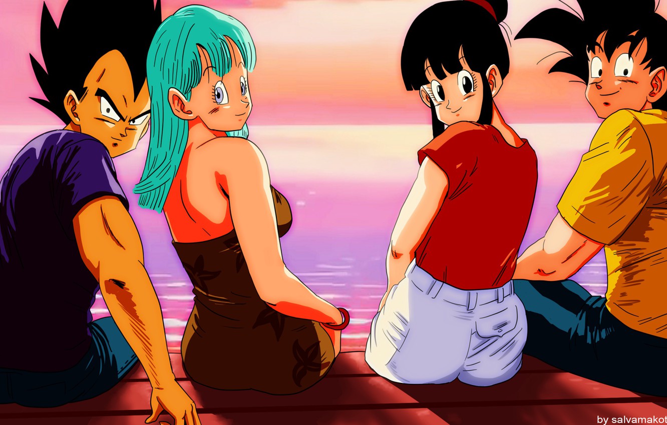 Photo Wallpaper Sunset, Girls, Guys, Dragonball, Dragonball - Goku Vegeta Chichi Bulma - HD Wallpaper 