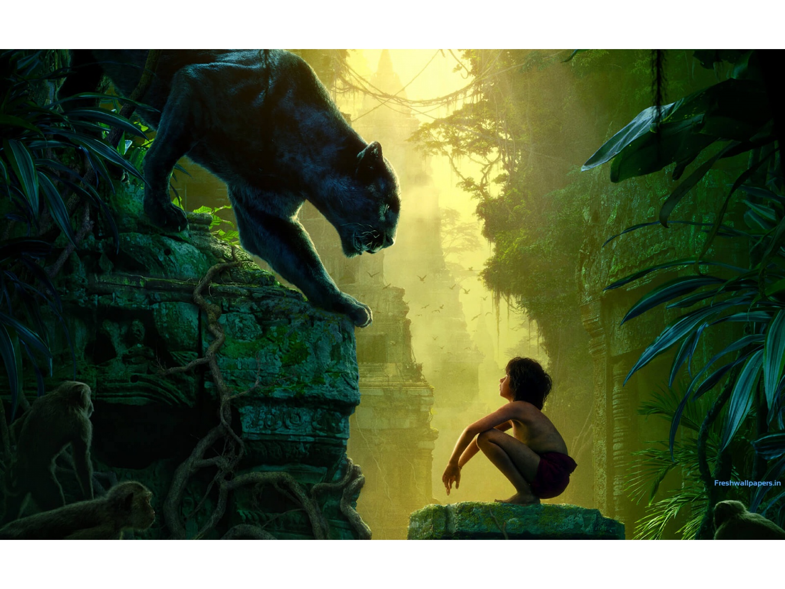 Interesting Jungle Book Full Resolution Photos Collection - Live Action Jungle Book Poster - HD Wallpaper 