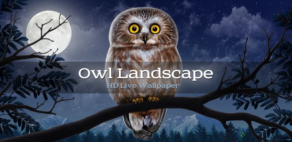 Snowy Owl - HD Wallpaper 