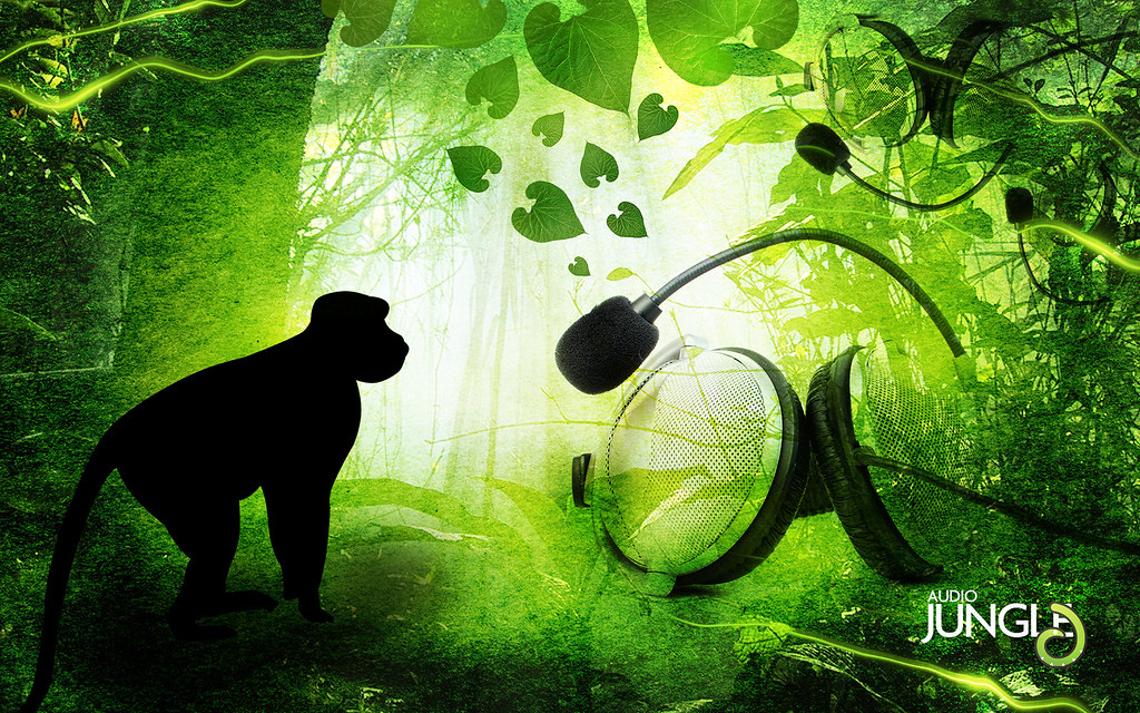 Audio Jungle - HD Wallpaper 