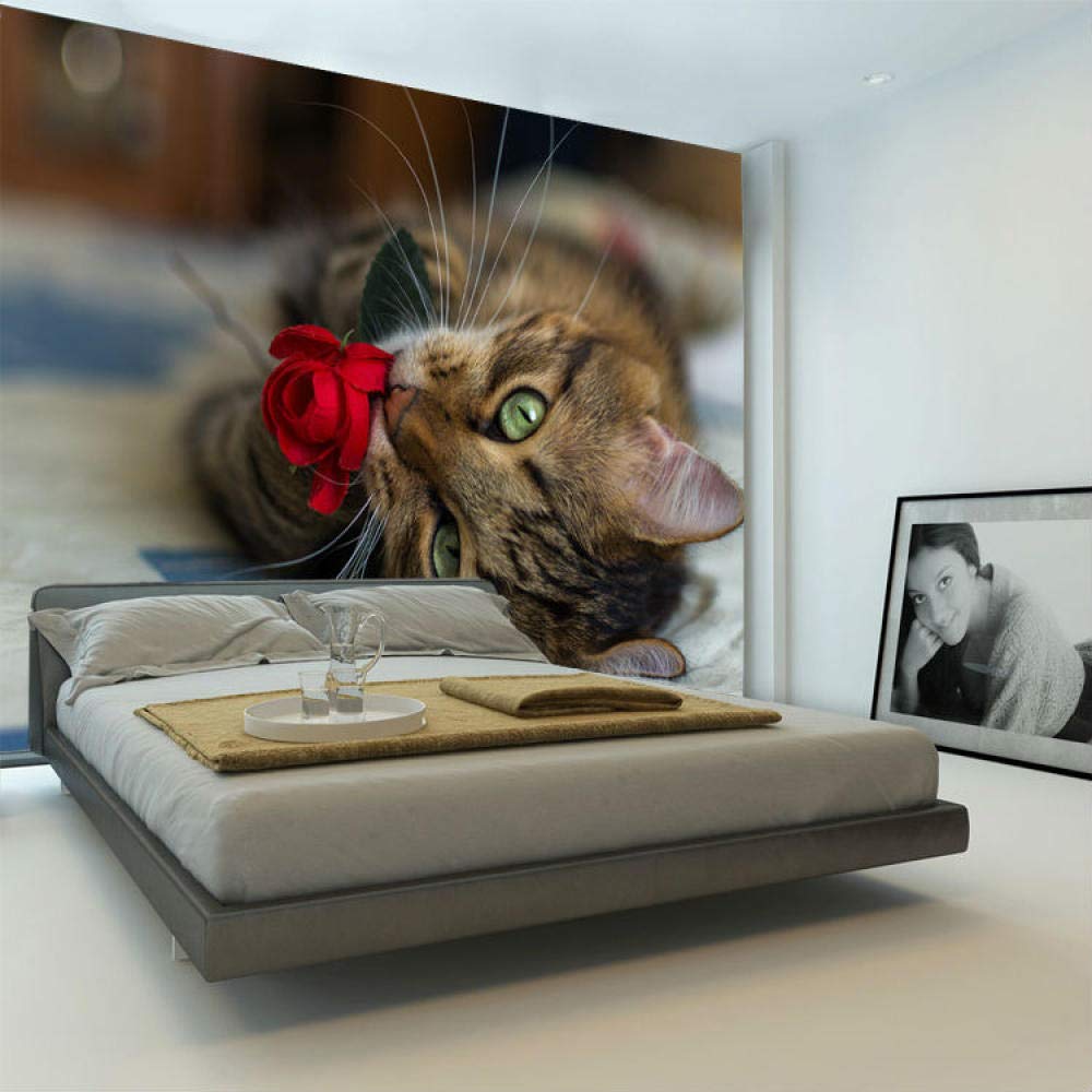 Street Art Room Decor - HD Wallpaper 