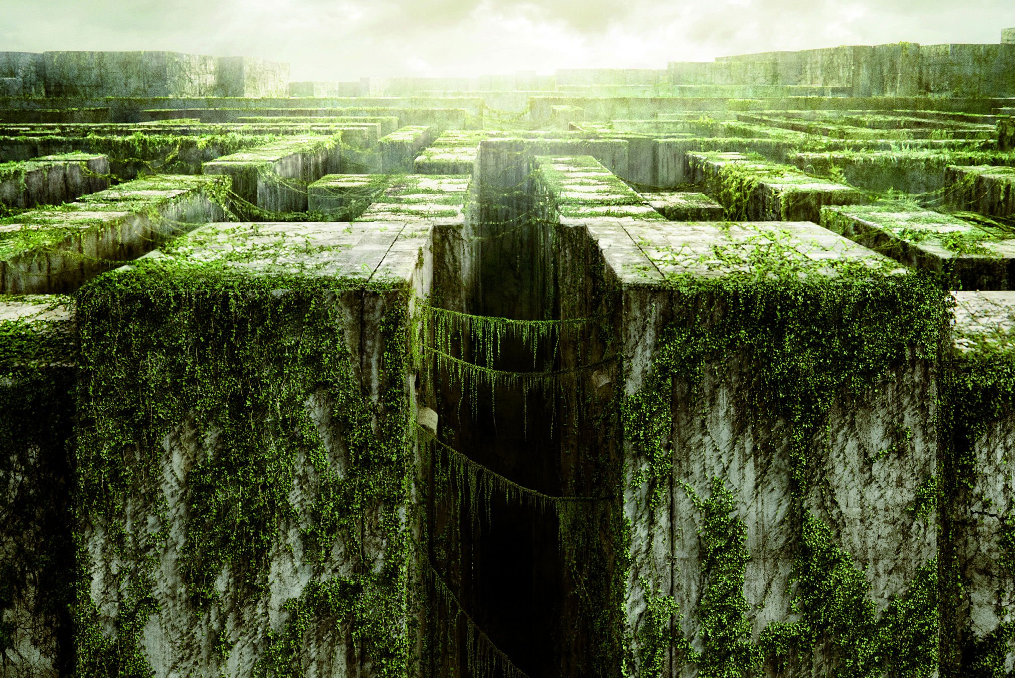 Maze Runner Maze - 2024x1352 Wallpaper Maze Runner Maze - 2024x1352 Wallpaper