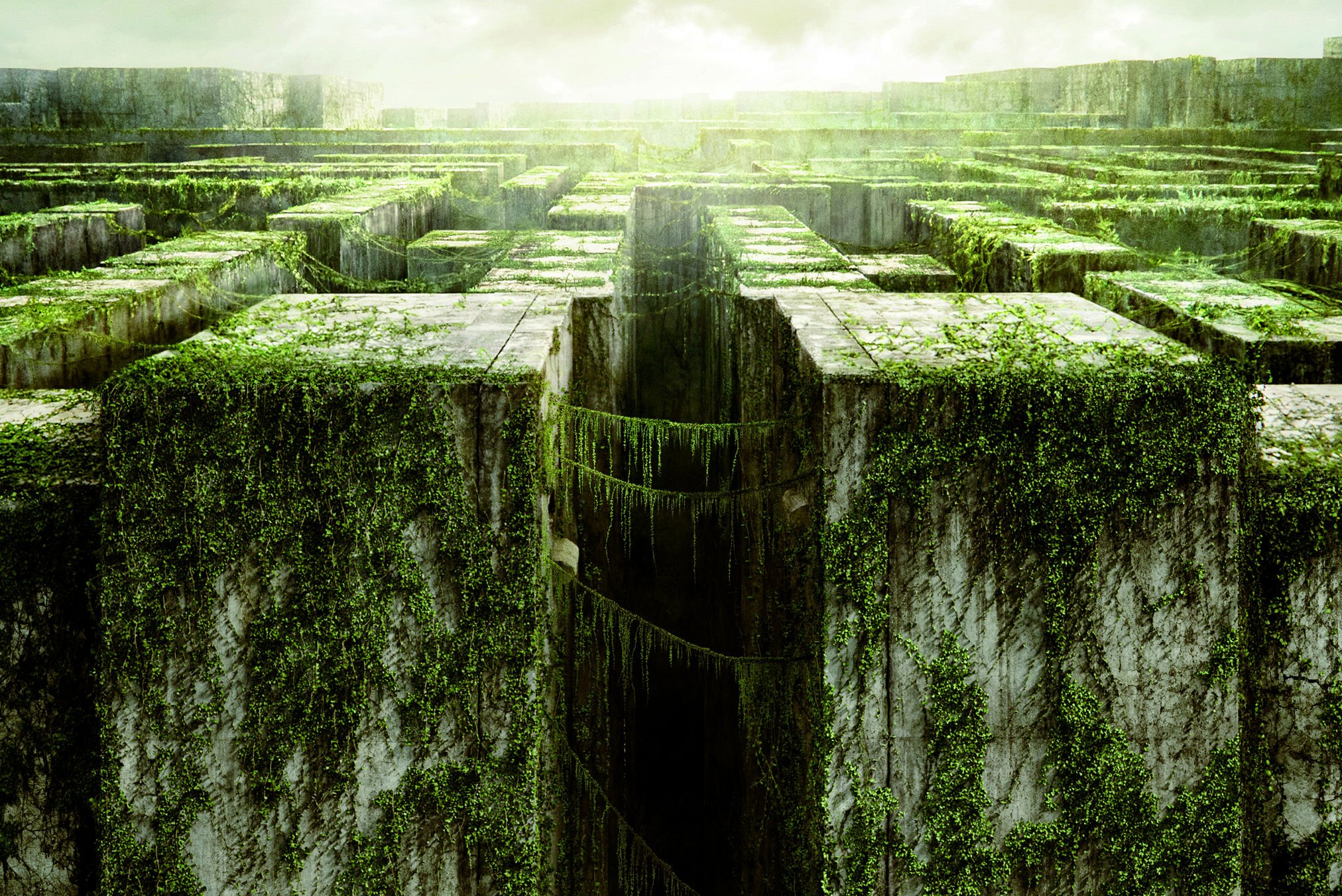 Maze Runner Maze - HD Wallpaper 